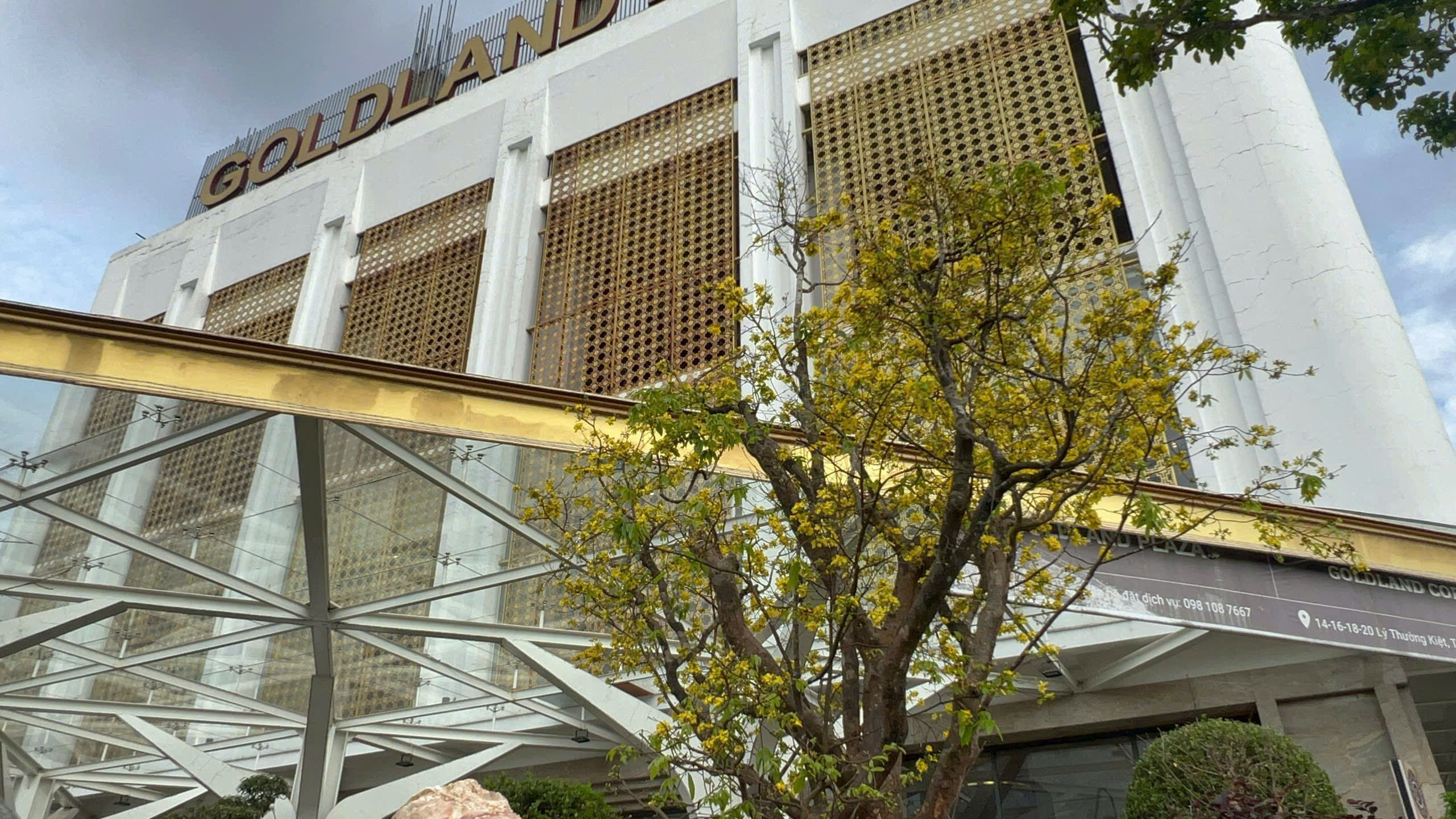 Ngỡ ng&agrave;ng phố mai v&agrave;ng ở giao lộ sầm uất bậc nhất xứ Huế - Ảnh 12.