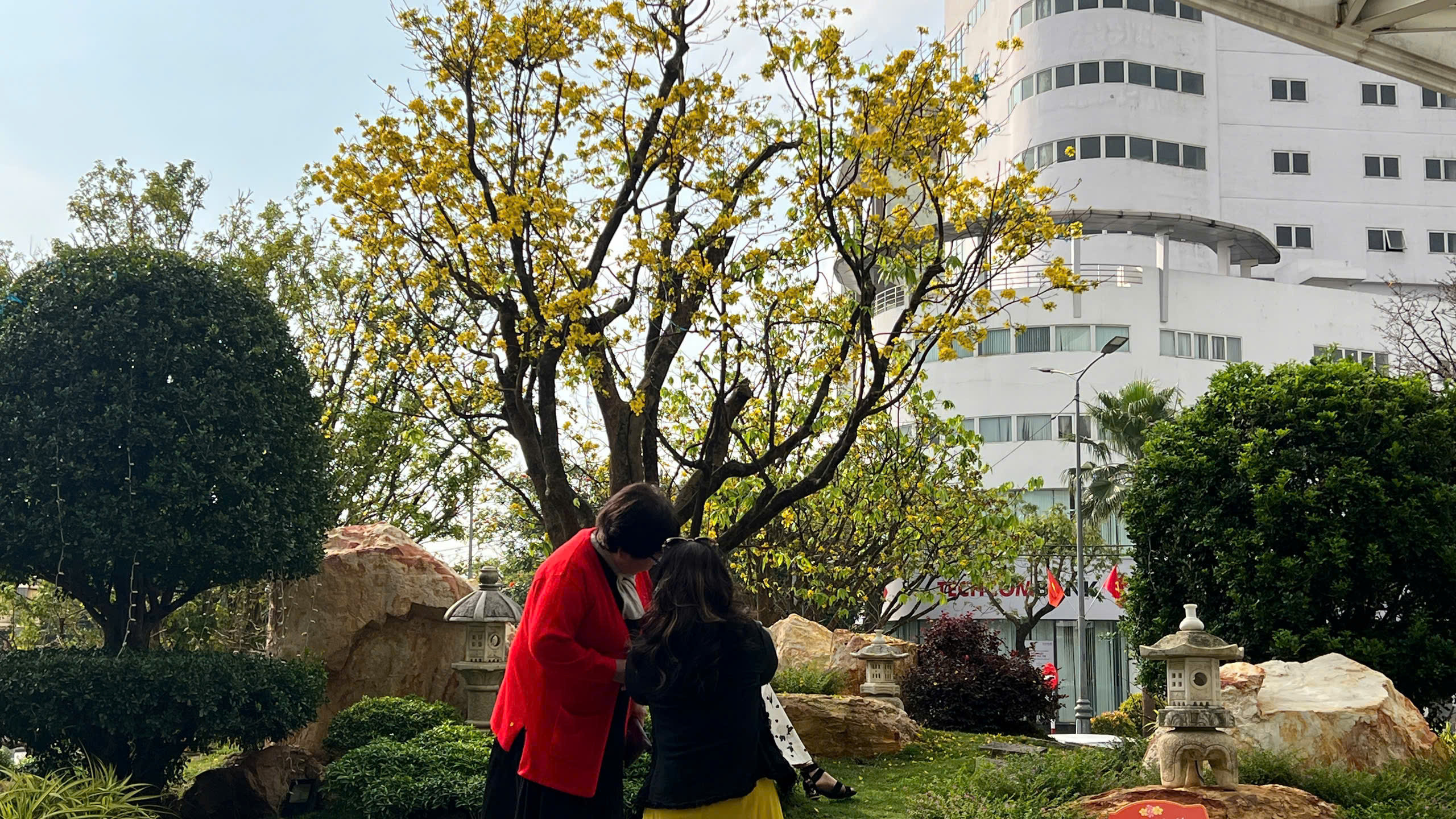 Ngỡ ng&agrave;ng phố mai v&agrave;ng ở giao lộ sầm uất bậc nhất xứ Huế - Ảnh 11.