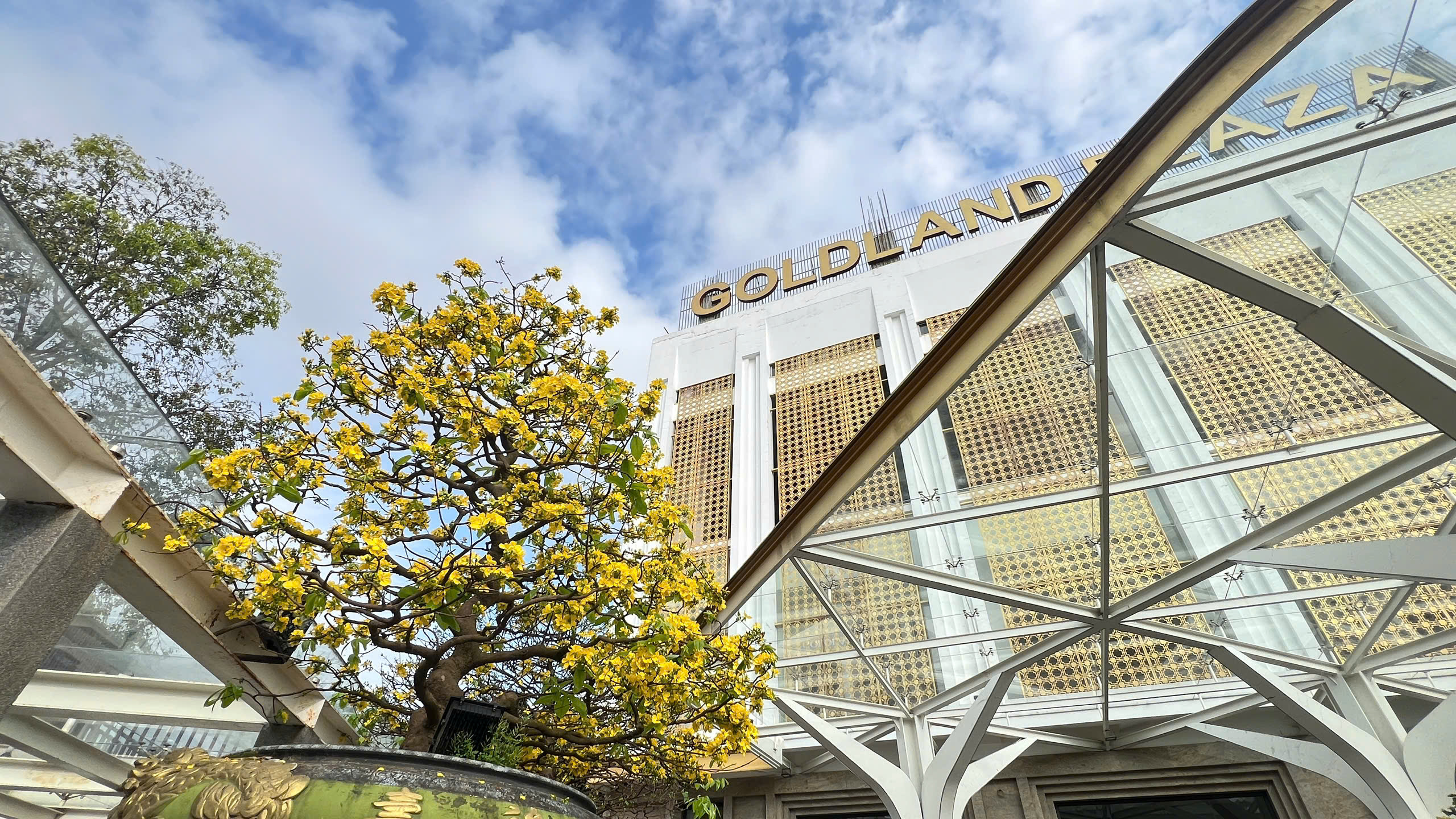 Ngỡ ng&agrave;ng phố mai v&agrave;ng ở giao lộ sầm uất bậc nhất xứ Huế - Ảnh 15.