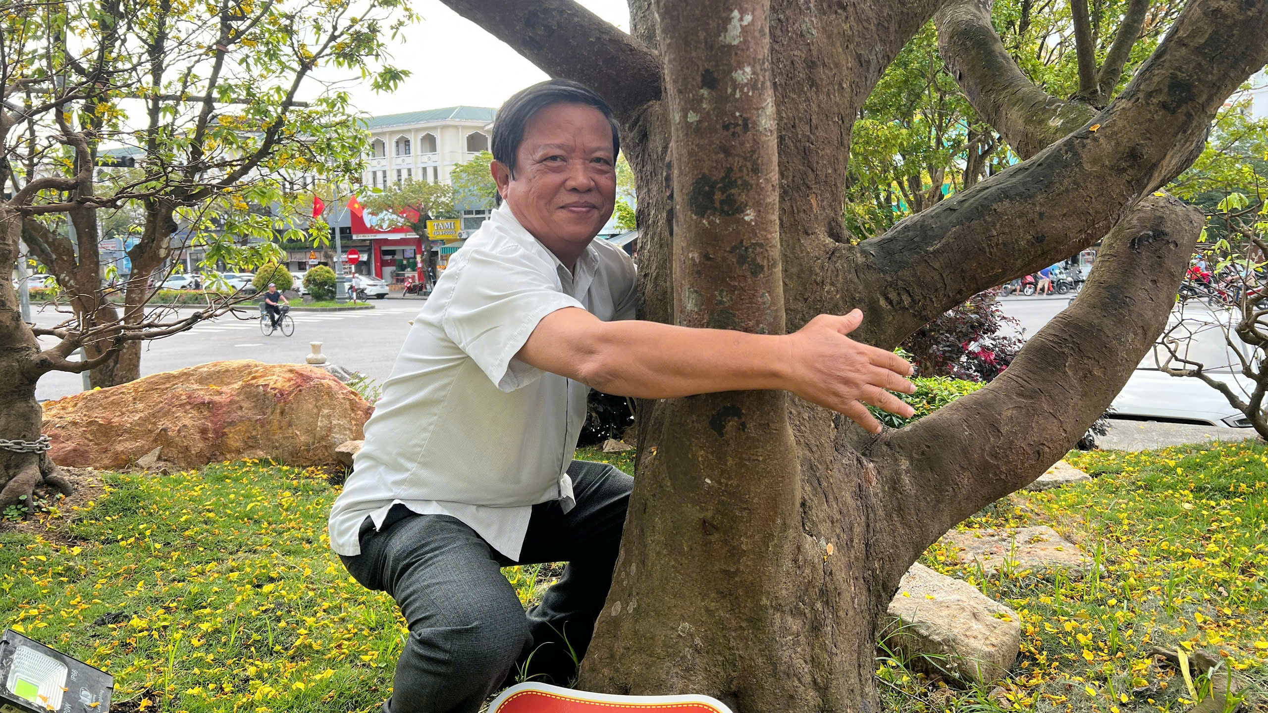 Ngỡ ng&agrave;ng phố mai v&agrave;ng ở giao lộ sầm uất bậc nhất xứ Huế - Ảnh 10.