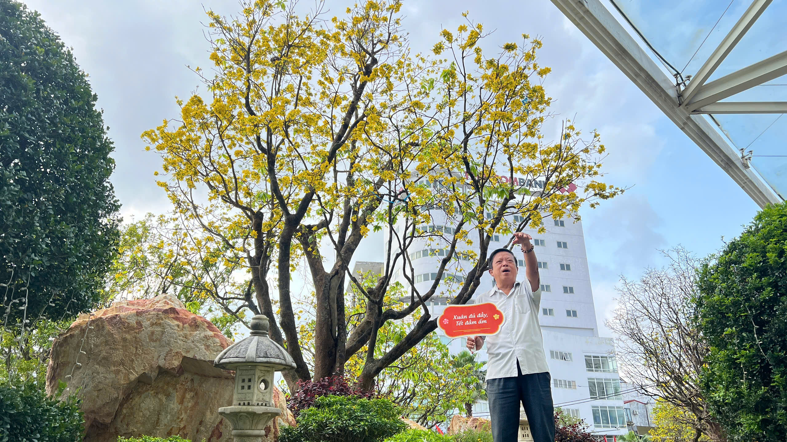 Ngỡ ng&agrave;ng phố mai v&agrave;ng ở giao lộ sầm uất bậc nhất xứ Huế - Ảnh 8.