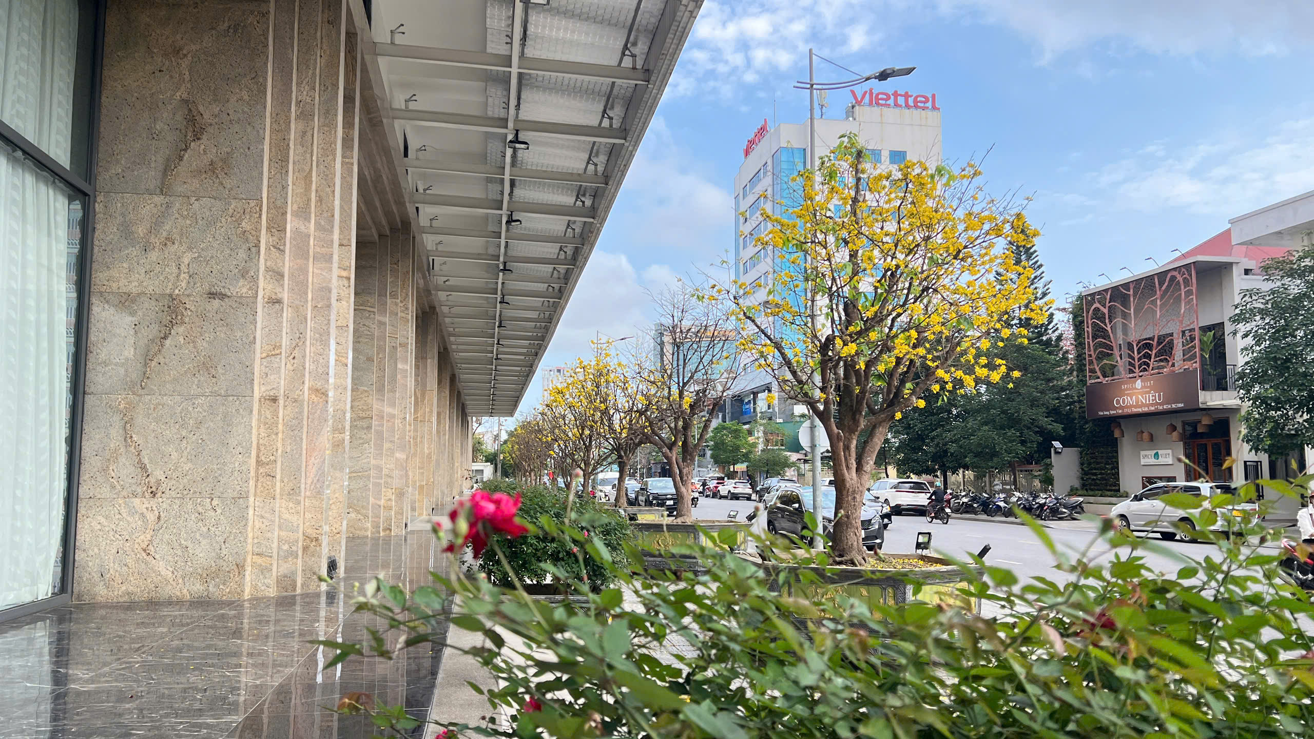 Ngỡ ng&agrave;ng phố mai v&agrave;ng ở giao lộ sầm uất bậc nhất xứ Huế - Ảnh 1.