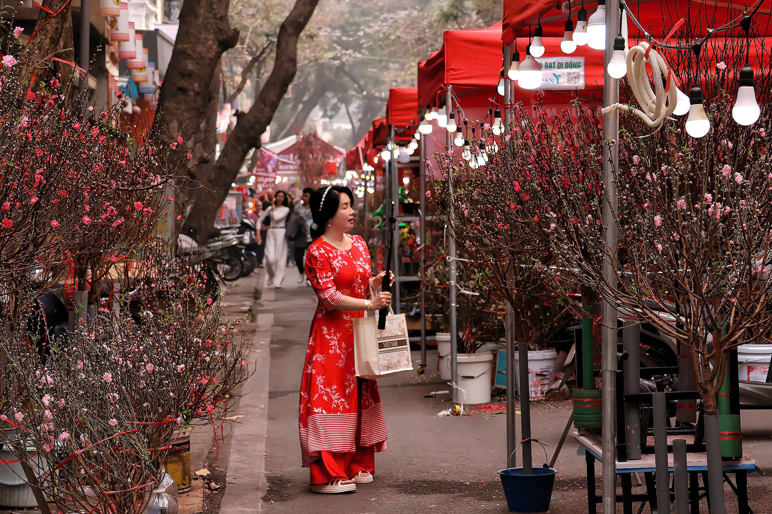 Phố, phường Thủ đ&ocirc; H&agrave; Nội rực rỡ sắc Xu&acirc;n  - Ảnh 10.