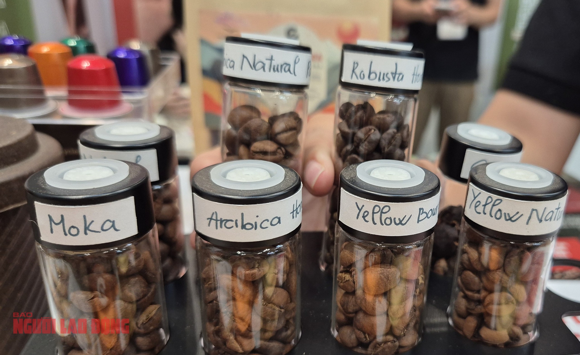 Gi&aacute; c&agrave; ph&ecirc; h&ocirc;m nay 8 - 2: C&agrave; ph&ecirc; Việt giữ gi&aacute; tốt trong bối cảnh giảm mạnh - Ảnh 2.