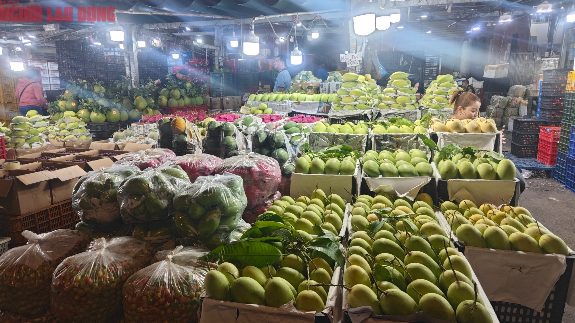 Gi&aacute; x&ograve;ai c&aacute;t h&ograve;a Lộc Tết 2026 cao kỷ lục , người ti&ecirc;u d&ugrave;ng sợ gi&aacute; - Ảnh 4.