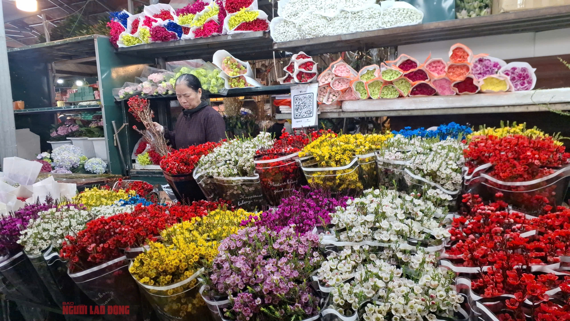 Kh&aacute;m ph&aacute; chợ hoa Quảng An lớn nhất H&agrave; Nội dịp Tết 2026 - Ảnh 5.
