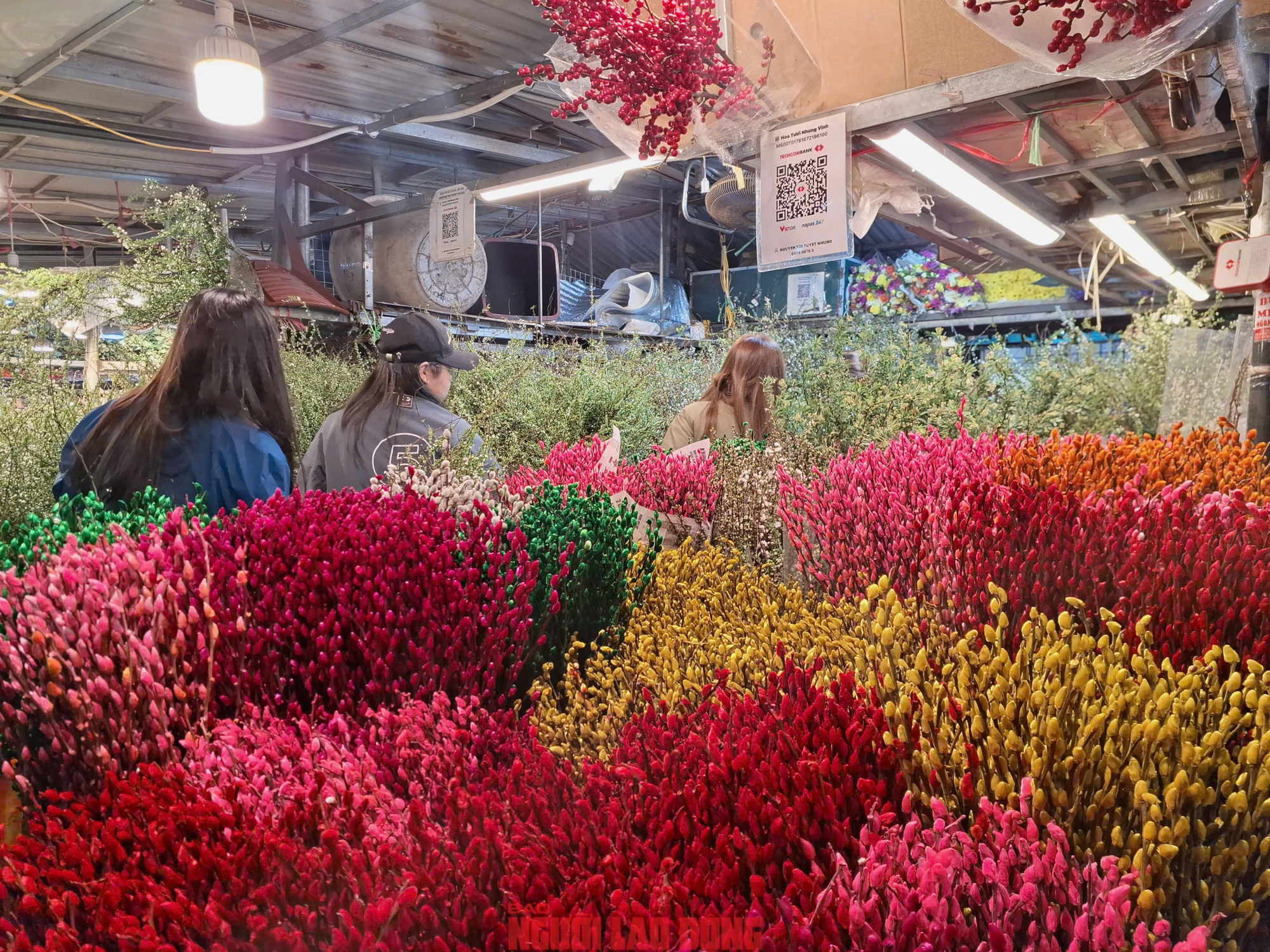 Kh&aacute;m ph&aacute; chợ hoa Quảng An lớn nhất H&agrave; Nội dịp Tết 2026 - Ảnh 20.