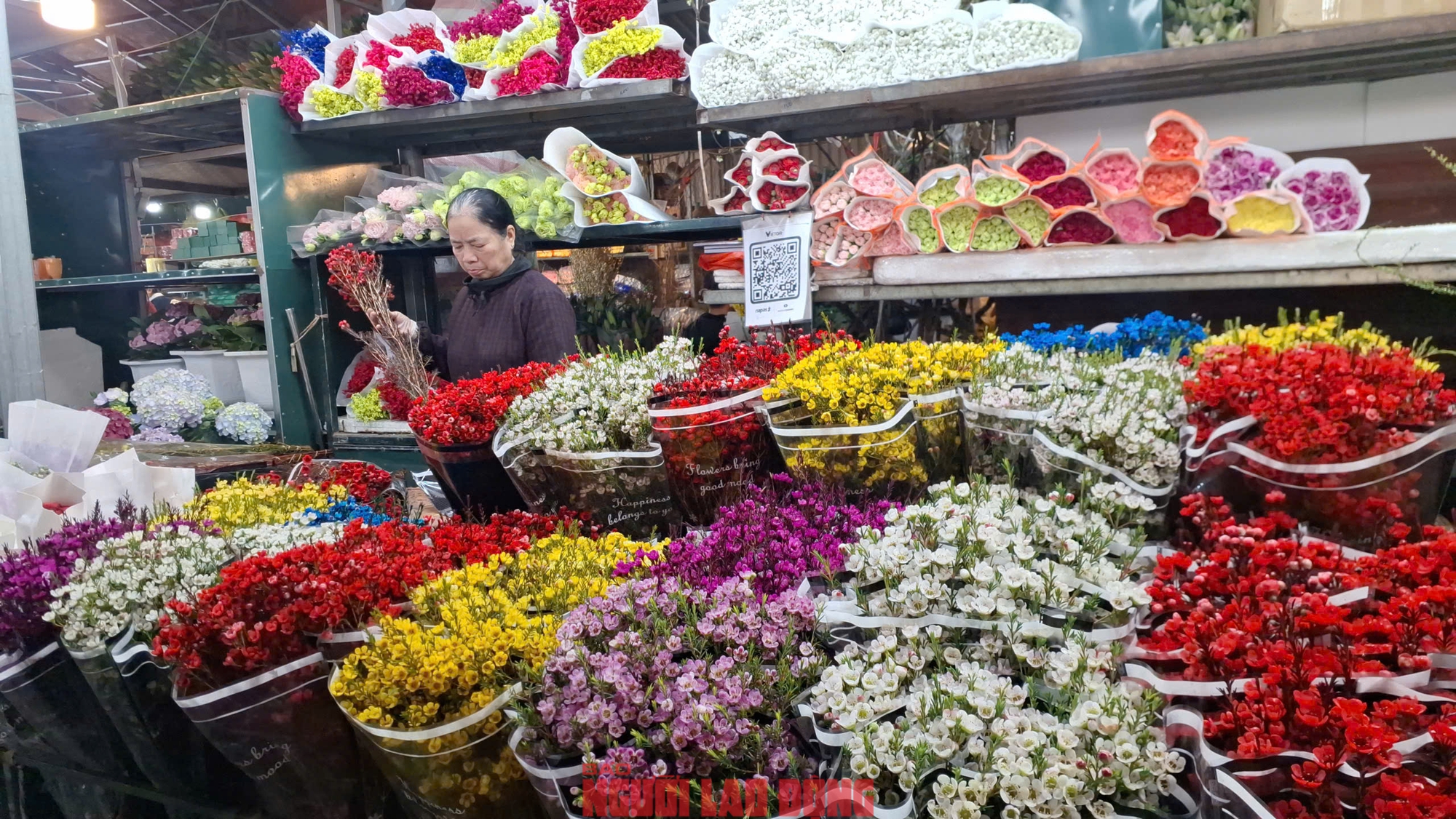 Kh&aacute;m ph&aacute; chợ hoa Quảng An lớn nhất H&agrave; Nội dịp Tết 2026 - Ảnh 24.