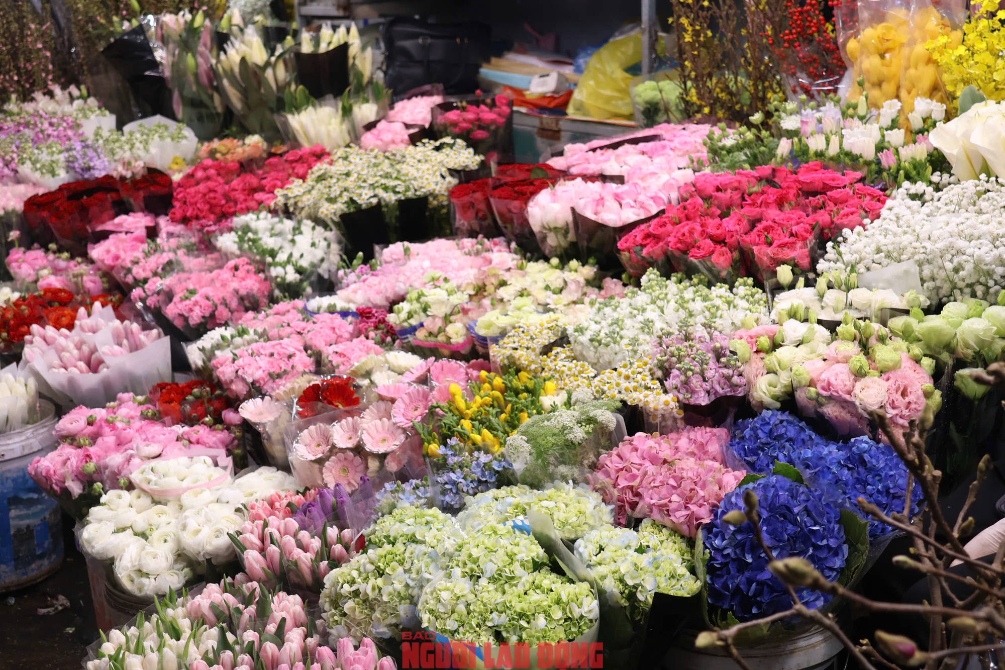 Kh&aacute;m ph&aacute; chợ hoa Quảng An lớn nhất H&agrave; Nội dịp Tết 2026 - Ảnh 27.
