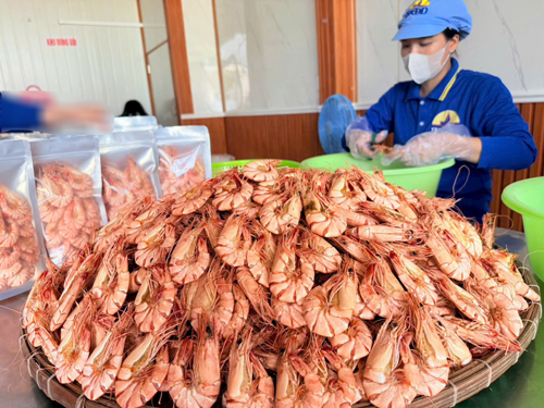 C&agrave; Mau c&ocirc;ng nhận th&ecirc;m nhiều sản phẩm OCOP - Ảnh 1.