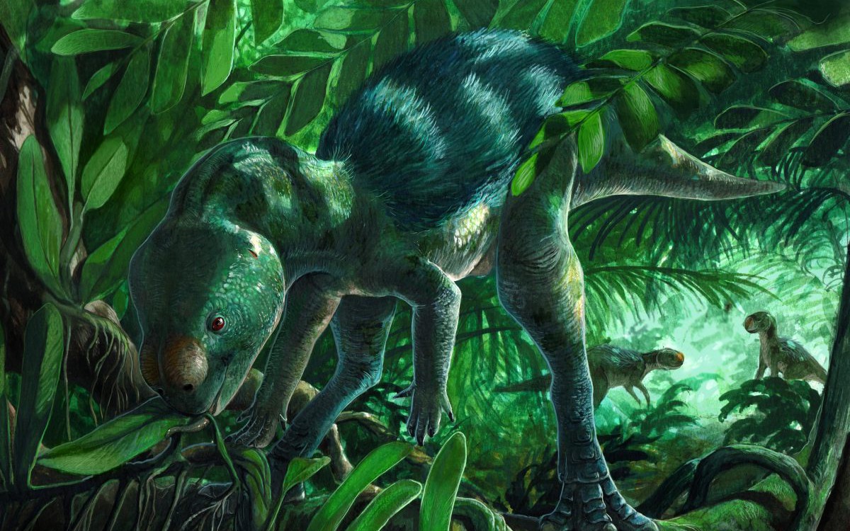 Sinh vật cực nguy hiểm ra từ băng hang động 5.000 năm - Ảnh 2.