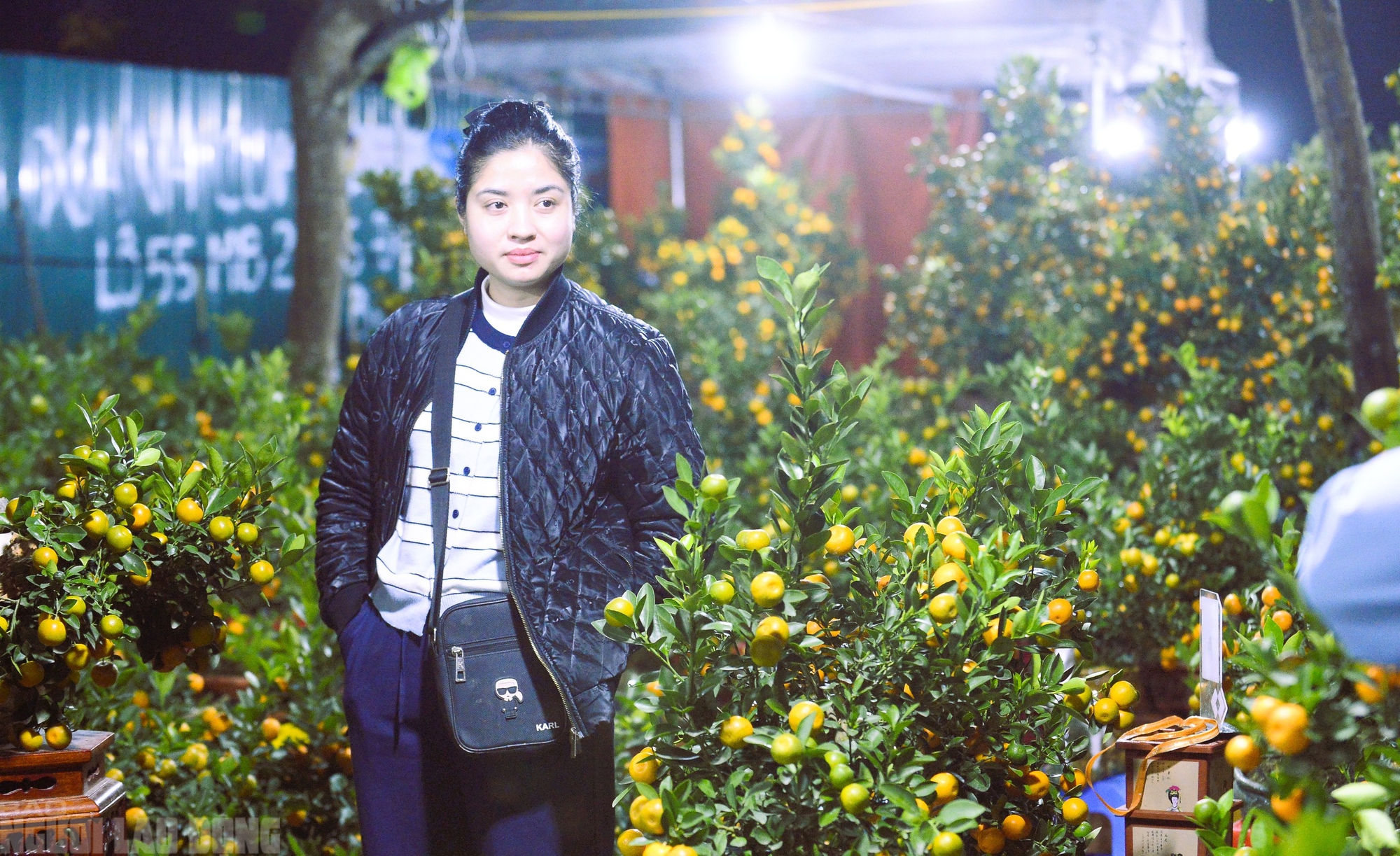 Xuy&ecirc;n đ&ecirc;m canh đ&agrave;o, quất trong gi&aacute; r&eacute;t - Ảnh 3.