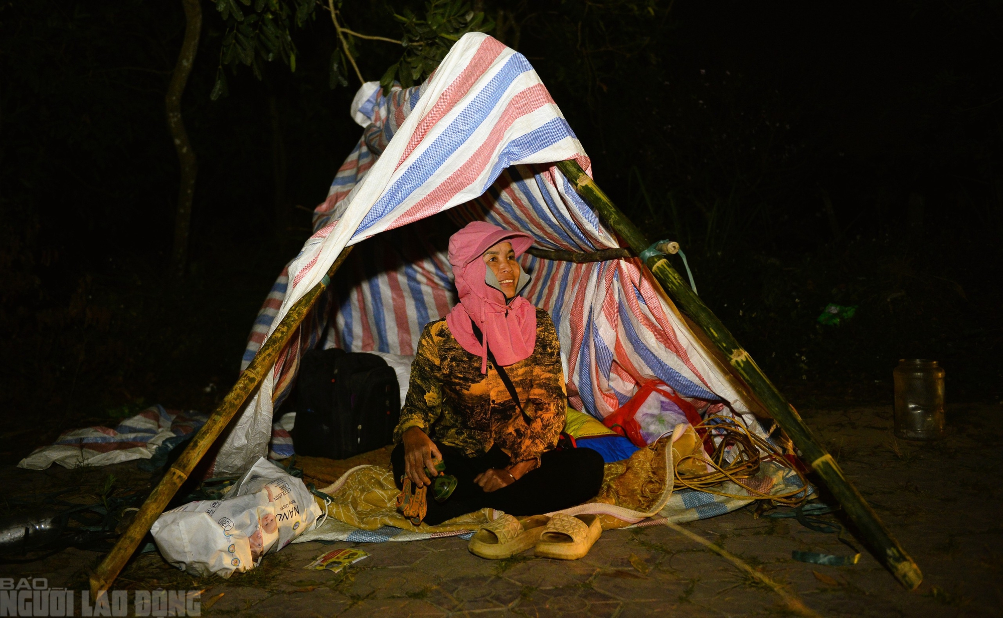 Xuy&ecirc;n đ&ecirc;m canh đ&agrave;o, quất trong gi&aacute; r&eacute;t - Ảnh 4.