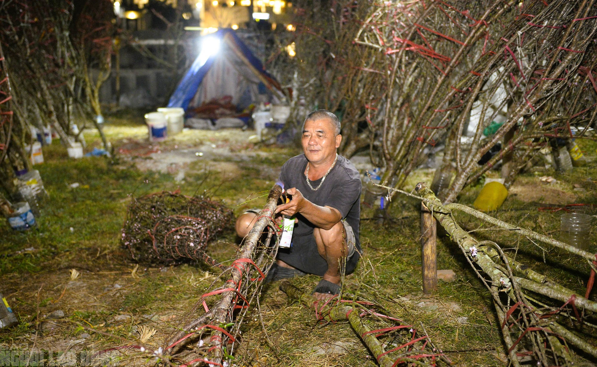 Xuy&ecirc;n đ&ecirc;m canh đ&agrave;o, quất trong gi&aacute; r&eacute;t - Ảnh 6.