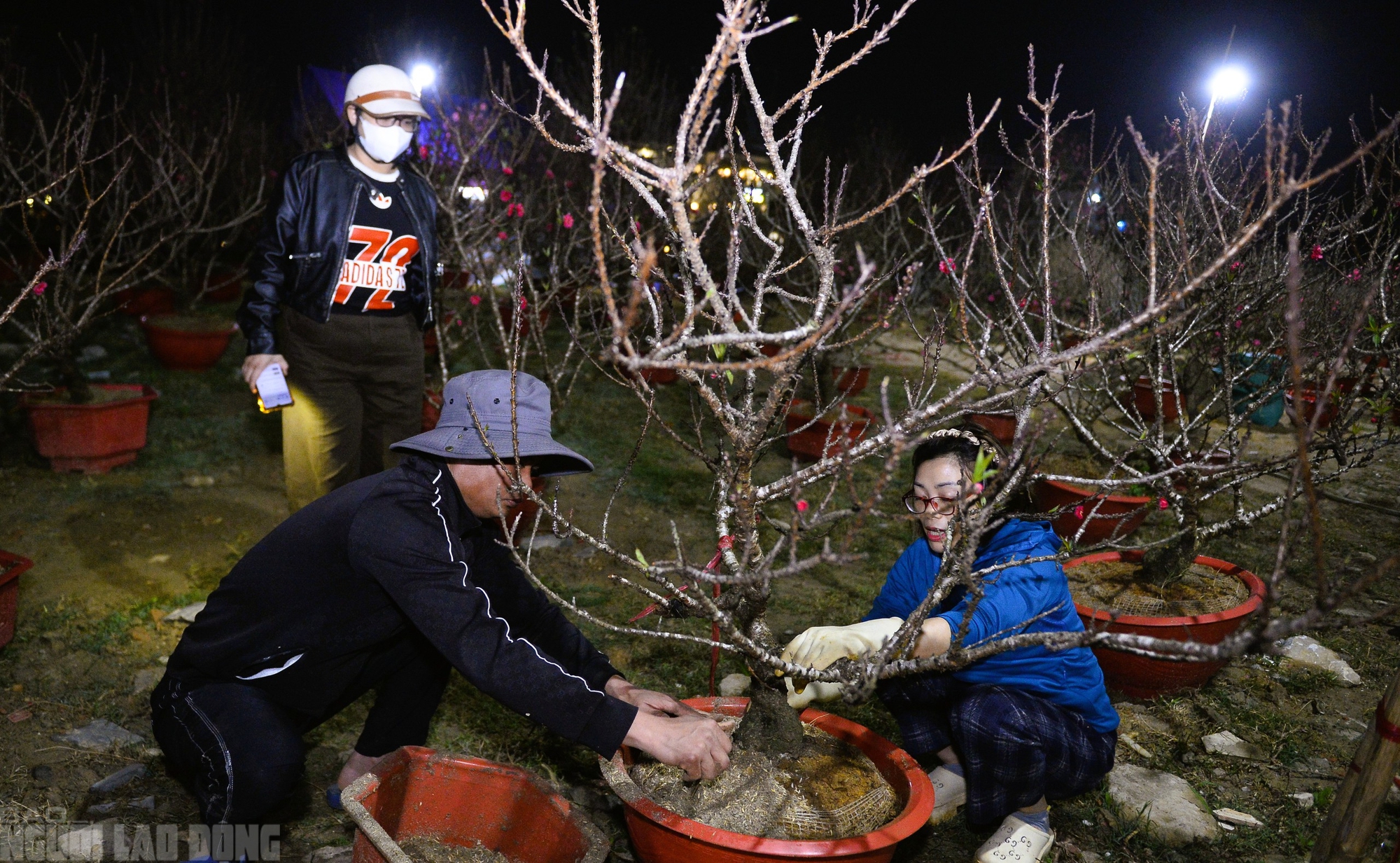Xuy&ecirc;n đ&ecirc;m canh đ&agrave;o, quất trong gi&aacute; r&eacute;t - Ảnh 7.