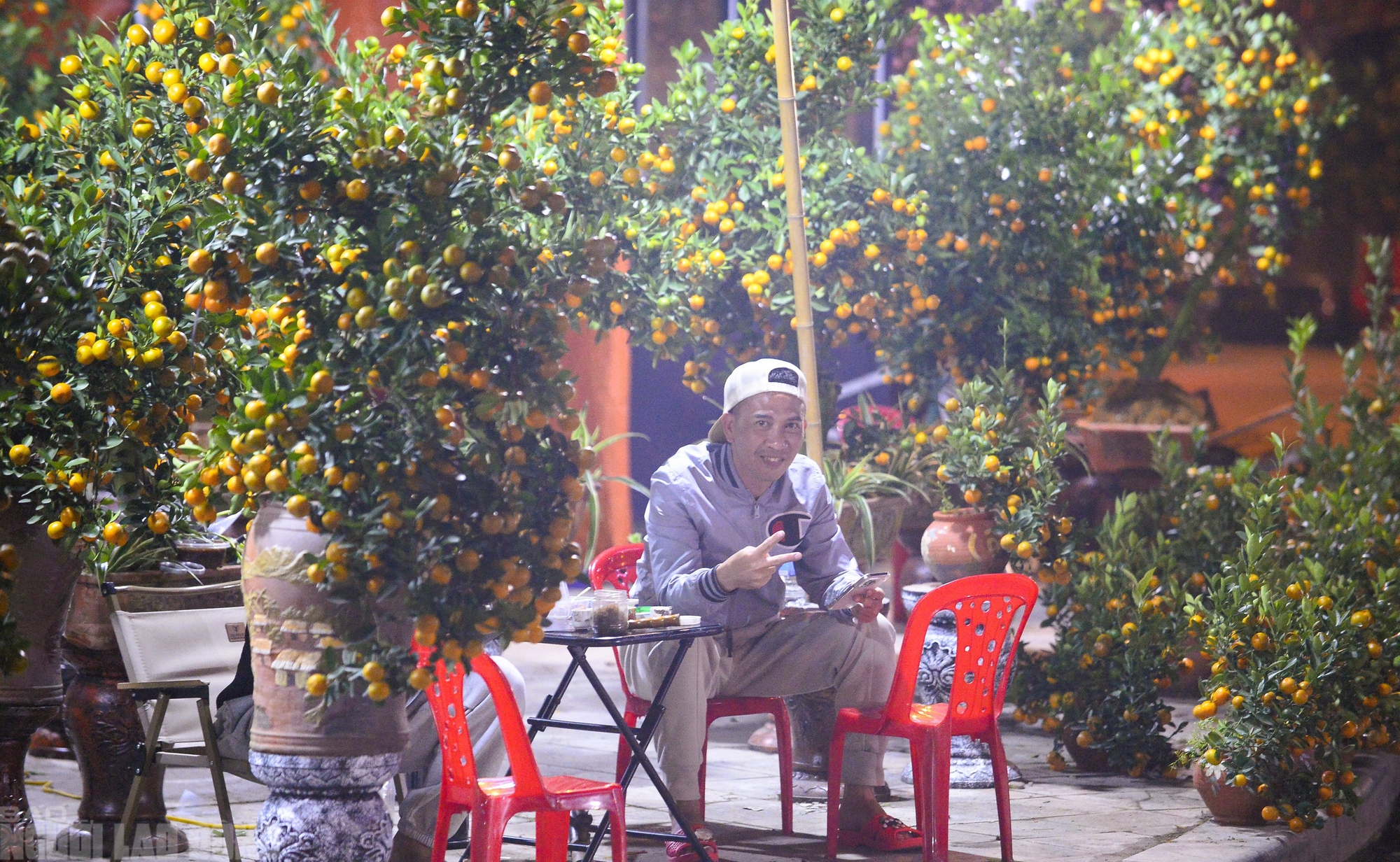 Xuy&ecirc;n đ&ecirc;m canh đ&agrave;o, quất trong gi&aacute; r&eacute;t - Ảnh 13.