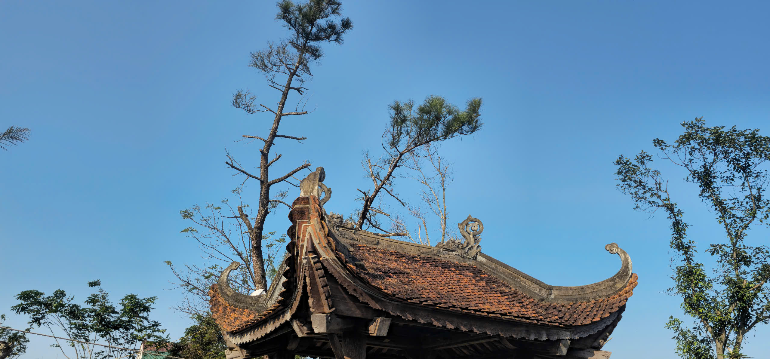 Thăm quần thể Khu di tích Dinh điền sứ Uy viễn tướng công Nguyễn Công Trứ - Ảnh 5.