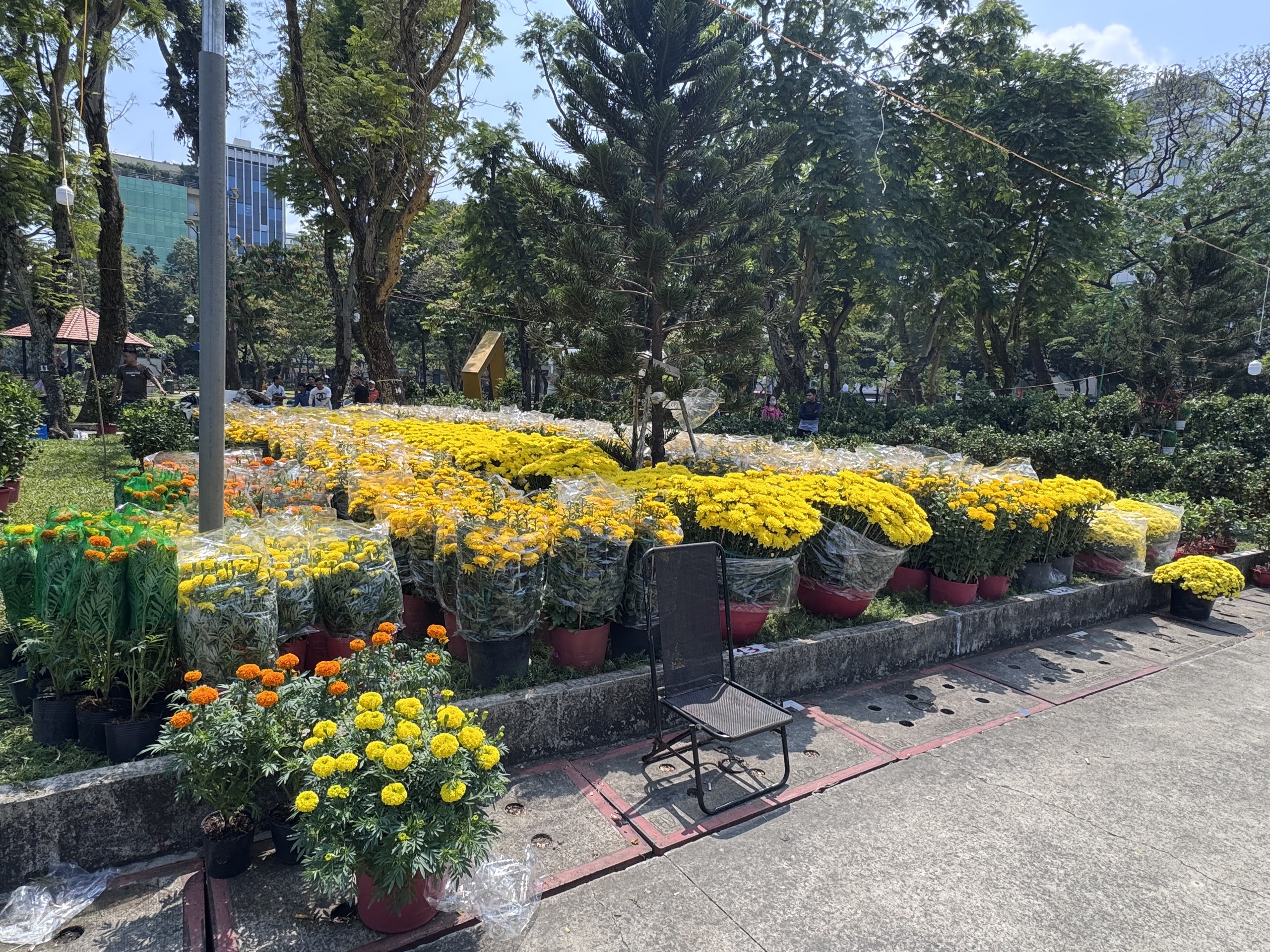 Không khí chợ hoa Tết ở TPHCM sôi động trước ngày khai trương 2026 - Ảnh 7.