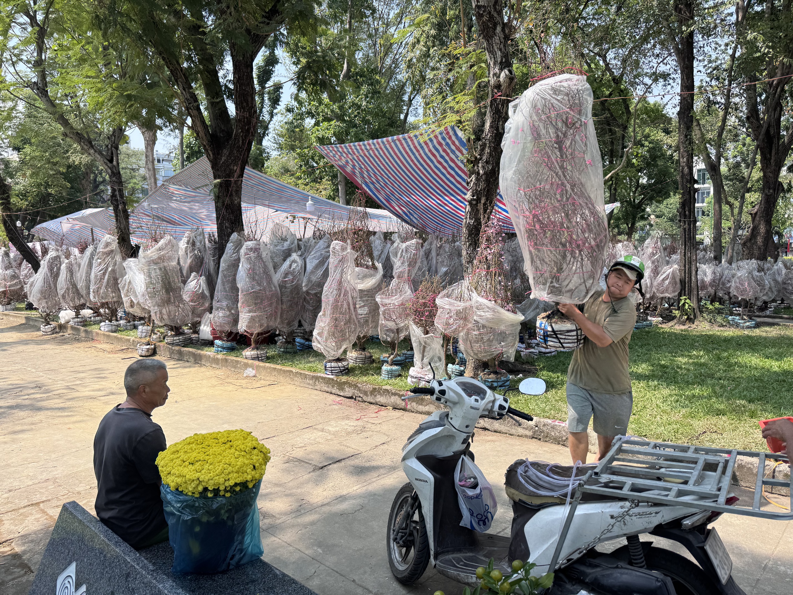 Không khí chợ hoa Tết ở TPHCM sôi động trước ngày khai trương 2026 - Ảnh 9.