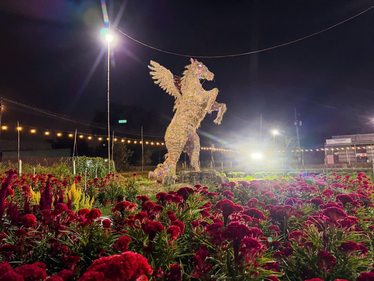 Độc đ&aacute;o linh vật ngựa khổng lồ bằng rơm ở T&acirc;y Ninh - Ảnh 5.