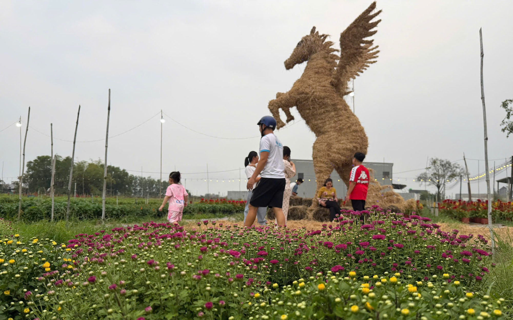 Ngắm linh vật ngựa &ldquo; m&atilde; đ&aacute;o th&agrave;nh c&ocirc;ng &rdquo; đ&oacute;n Xu&acirc;n tại C&agrave; Mau 2026 - Ảnh 2.