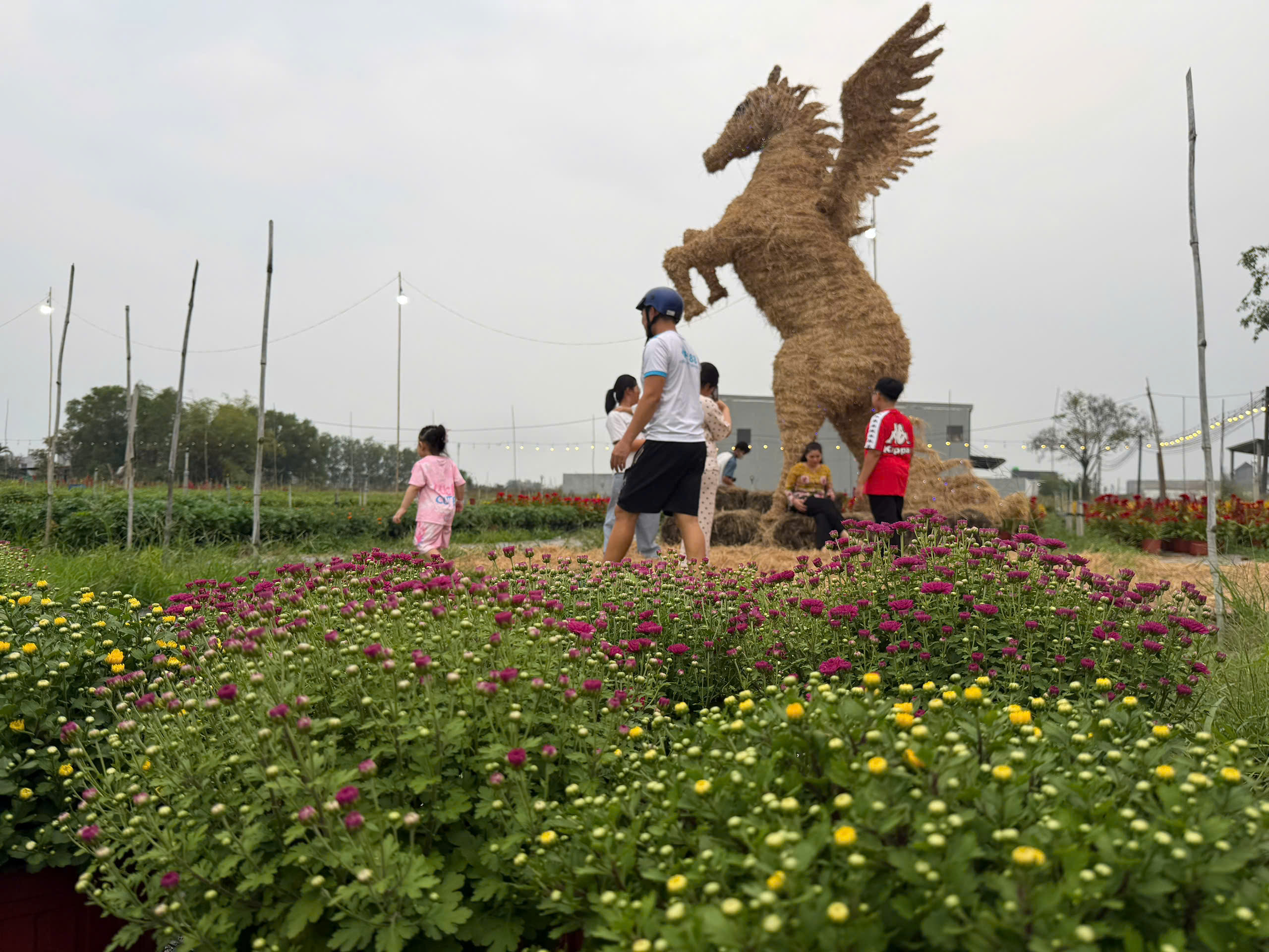 Độc đ&aacute;o linh vật ngựa khổng lồ bằng rơm ở T&acirc;y Ninh - Ảnh 6.