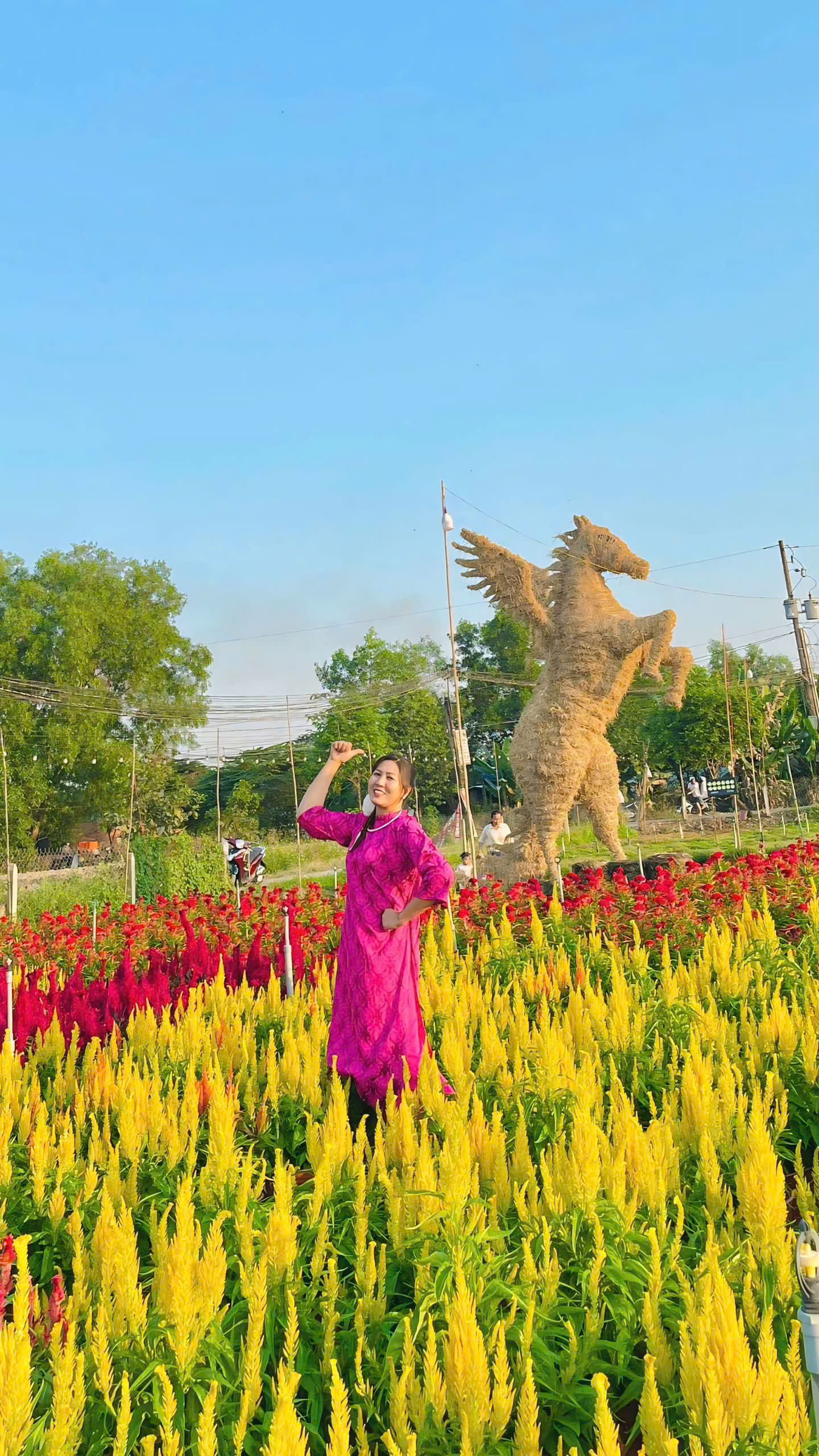 Độc đ&aacute;o linh vật ngựa khổng lồ bằng rơm ở T&acirc;y Ninh - Ảnh 8.