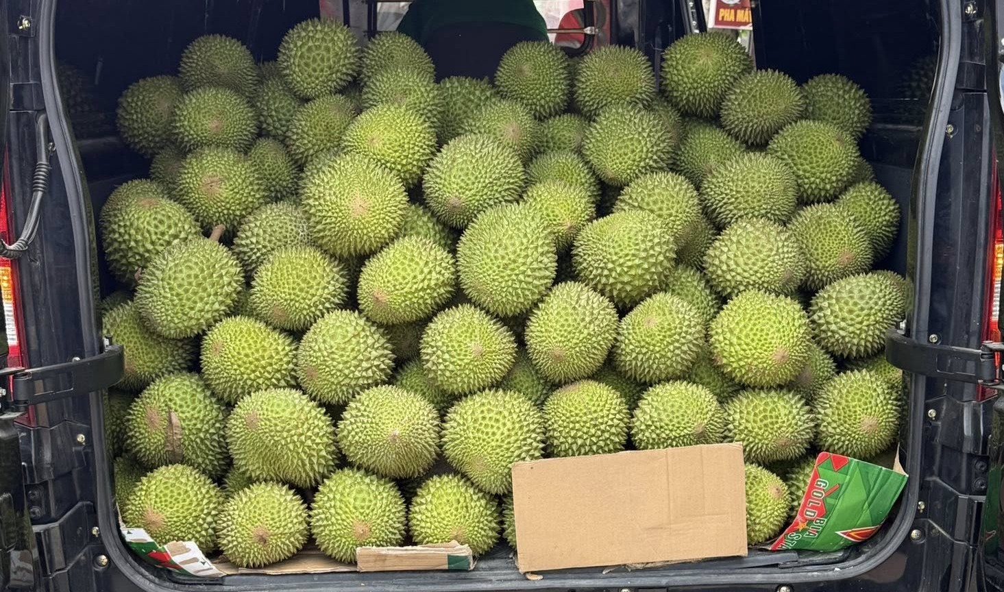 Giá sầu riêng Musang King bất ngờ rẻ hơn Monthong - Ảnh 3.