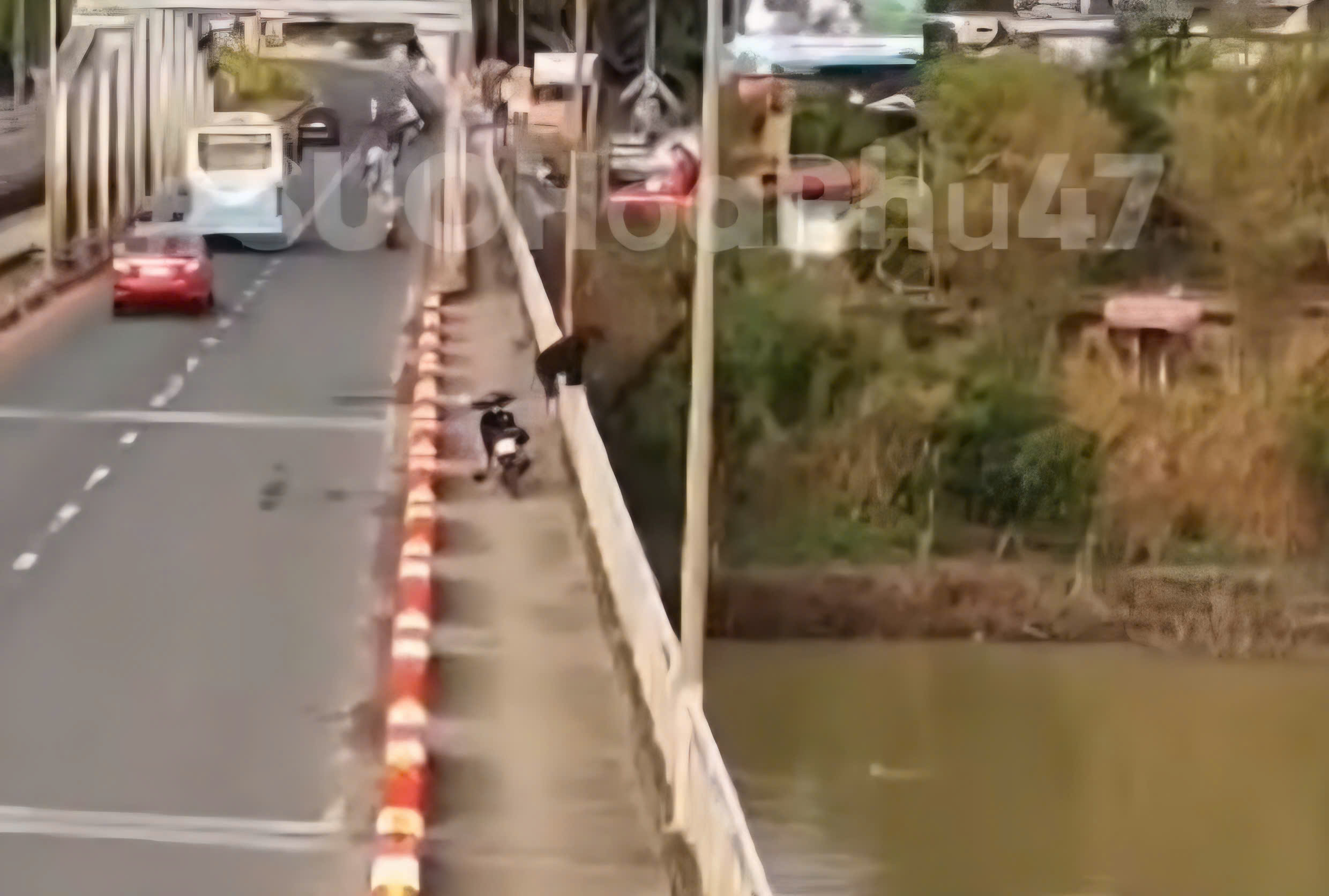 Cảnh nam thanh niên nhảy sông Sêrêpốk mất tích gây xôn xao dư luận 2026 - Ảnh 1.