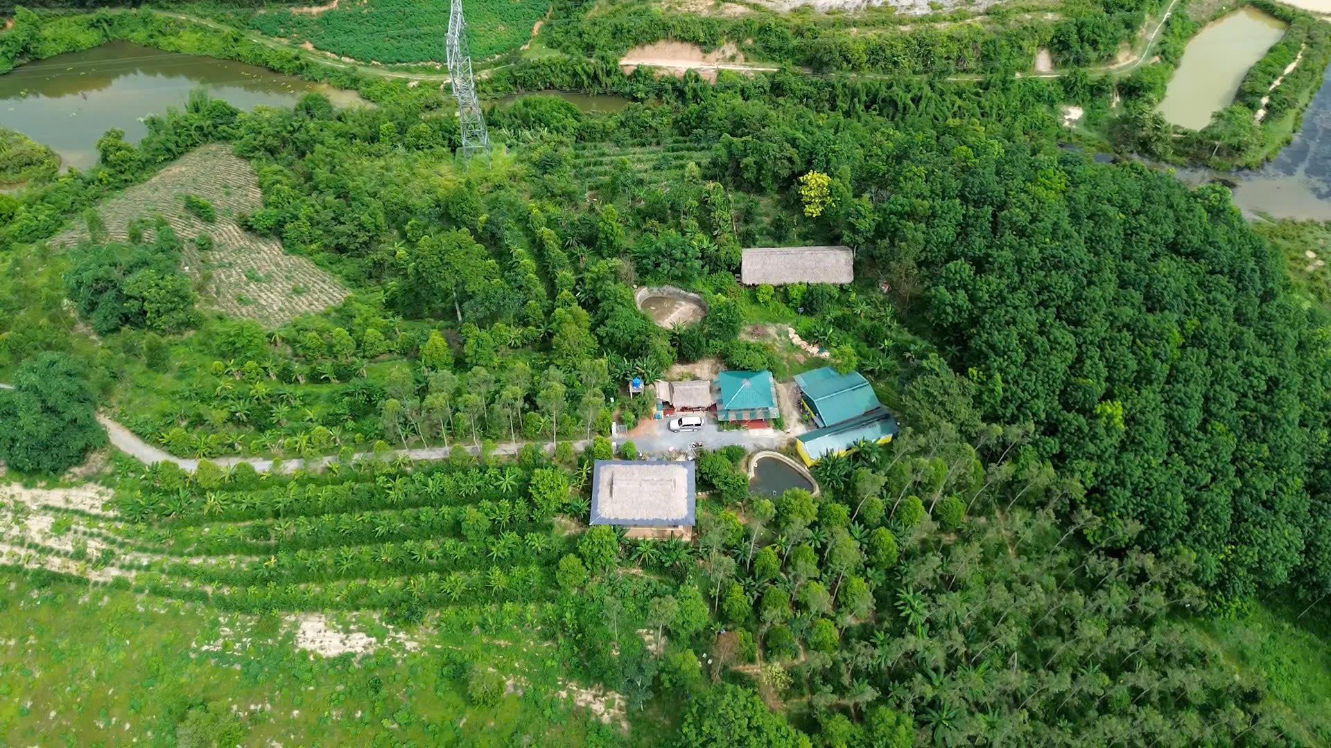 NHỮNG BÓNG HỒNG KIẾN TẠO TƯƠNG LAI: "Linh Bản Thổ" với mô hình sinh kế bền vững - Ảnh 2.