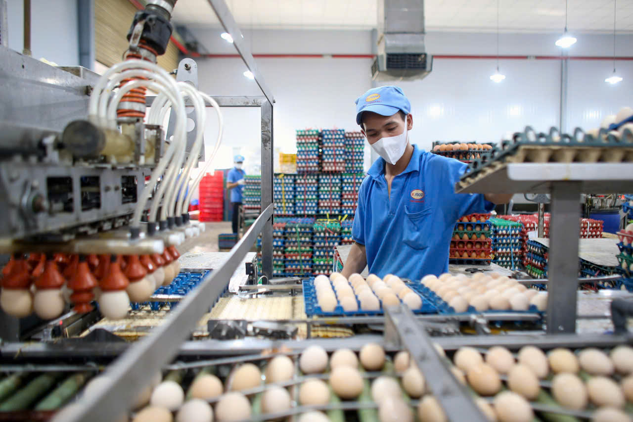 Nỗ lực giữ giá hàng hóa - Ảnh 1.