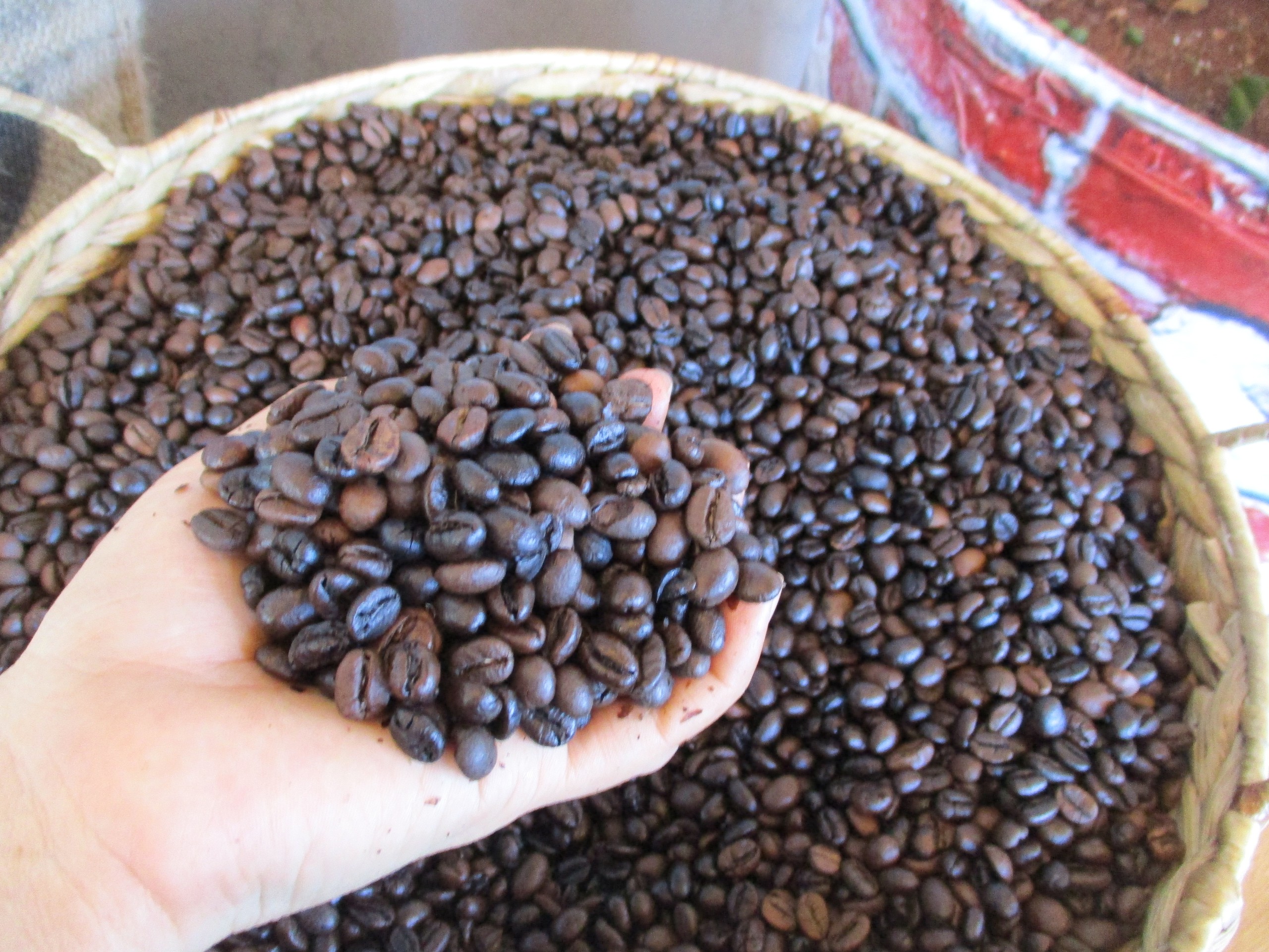 Giá cà phê hôm nay 10 - 3: Biến động và xu hướng thị trường cà phê 2026 - Ảnh 3.