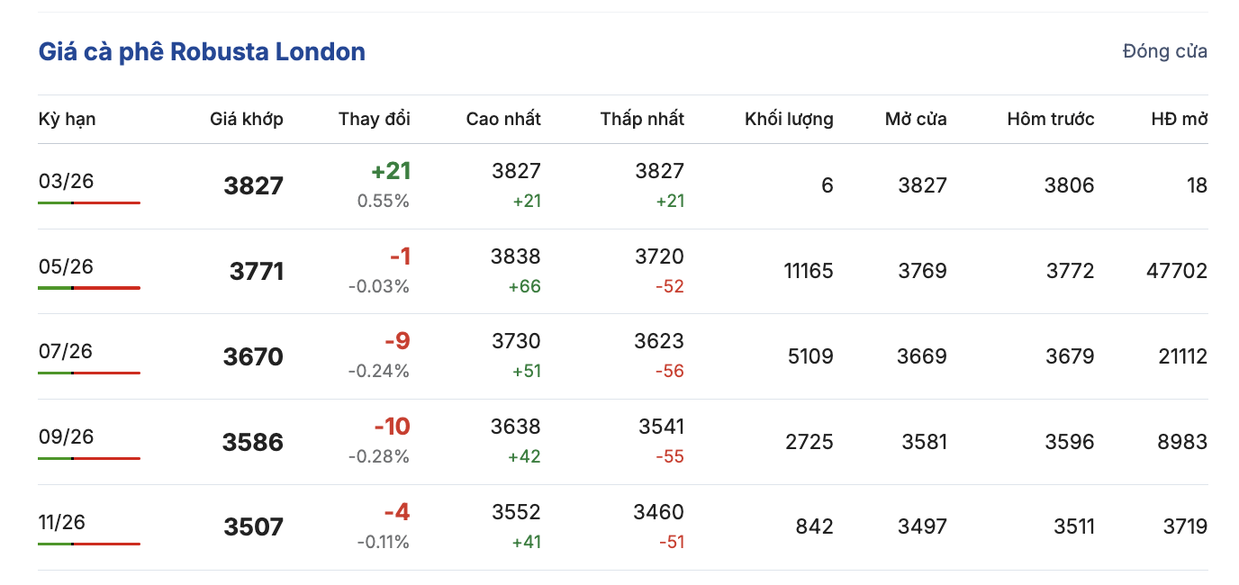 Giá cà phê hôm nay 10 - 3: Biến động và xu hướng thị trường cà phê 2026 - Ảnh 2.