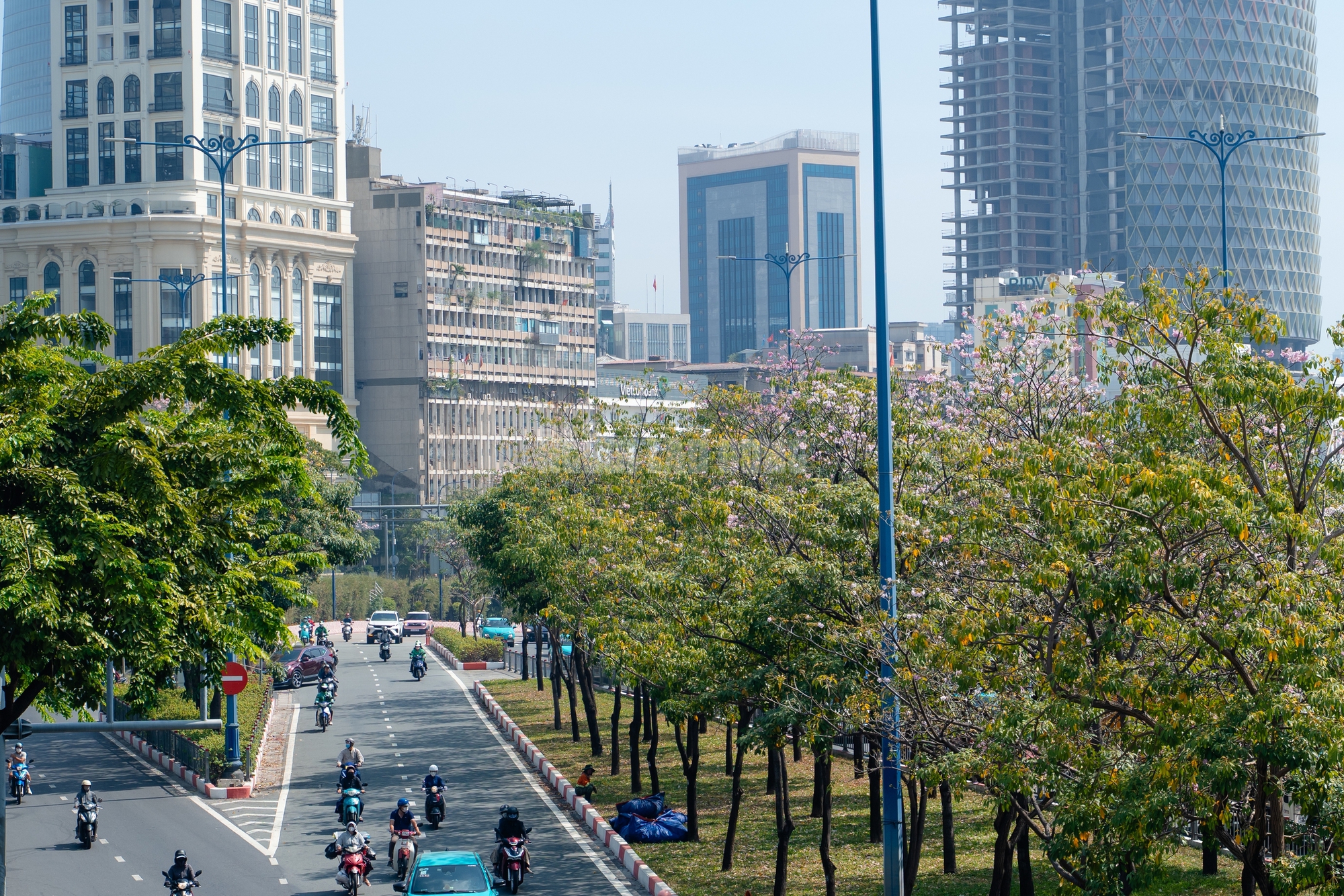 VIDEO: Con đường hoa kèn hồng lãng mạn tại TPHCM - Ảnh 12.