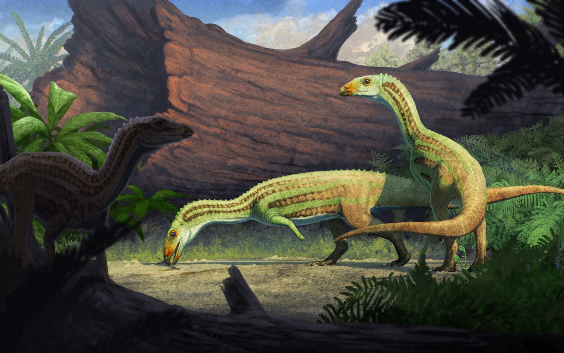 9 qu&aacute;i vật từ "lục địa đ&atilde; mất" g&acirc;y sốc cho giới khoa học - Ảnh 2.