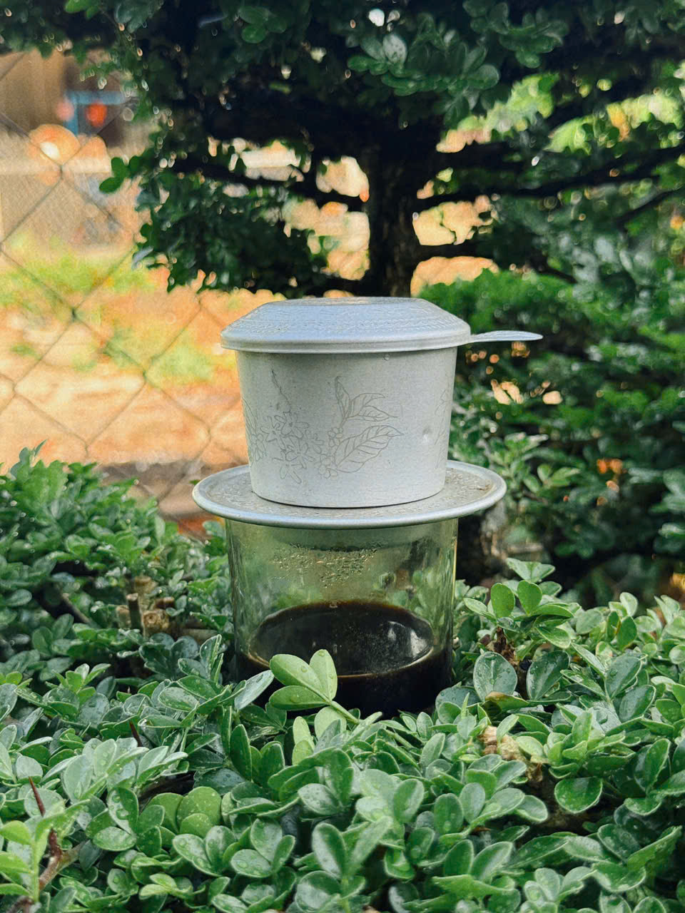 Hương cà phê trong nhà dài Ê đê - Ảnh 7.