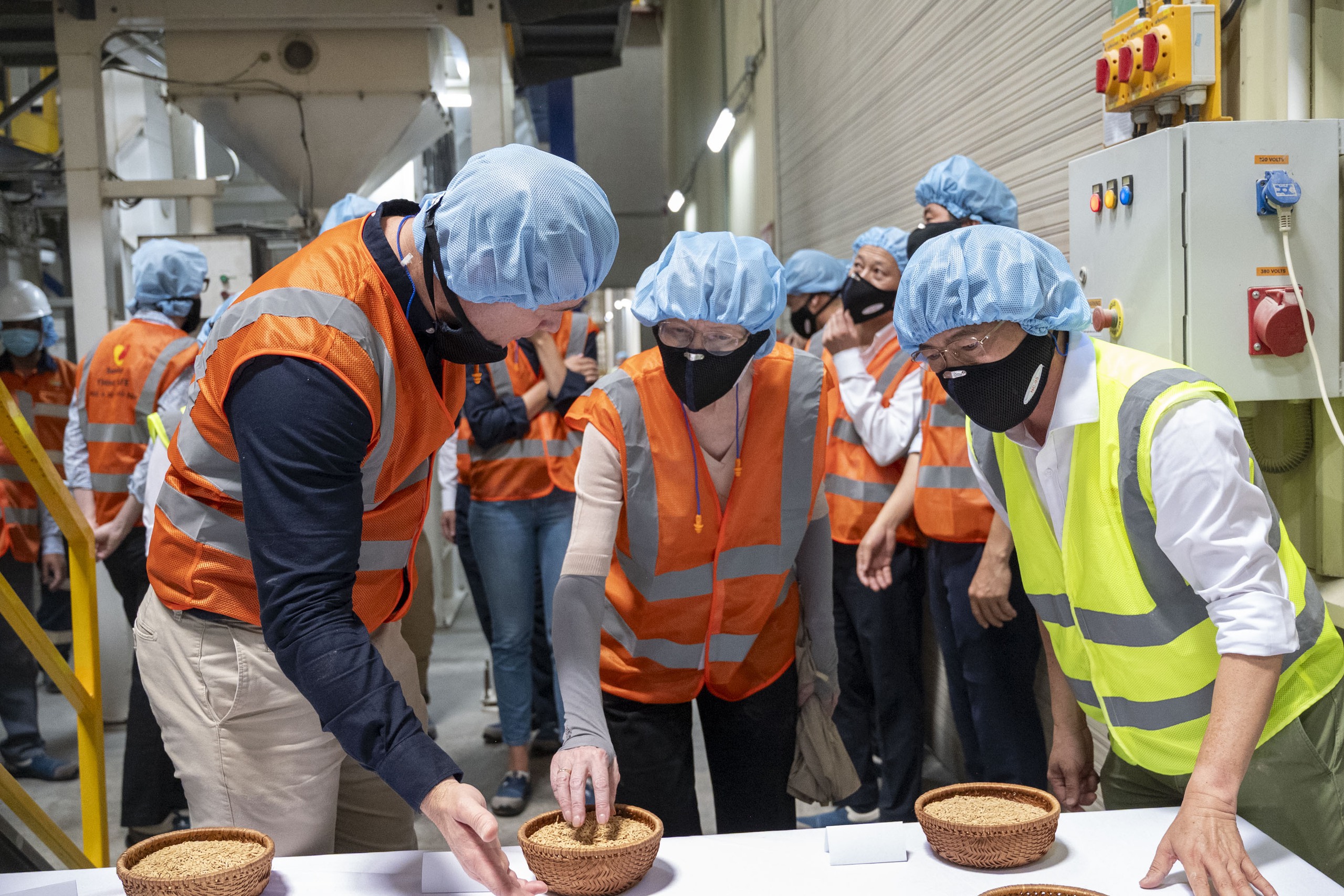 Trường đại học Úc "bắt tay" doanh nghiệp nâng tầm hạt gạo Việt - Ảnh 2.