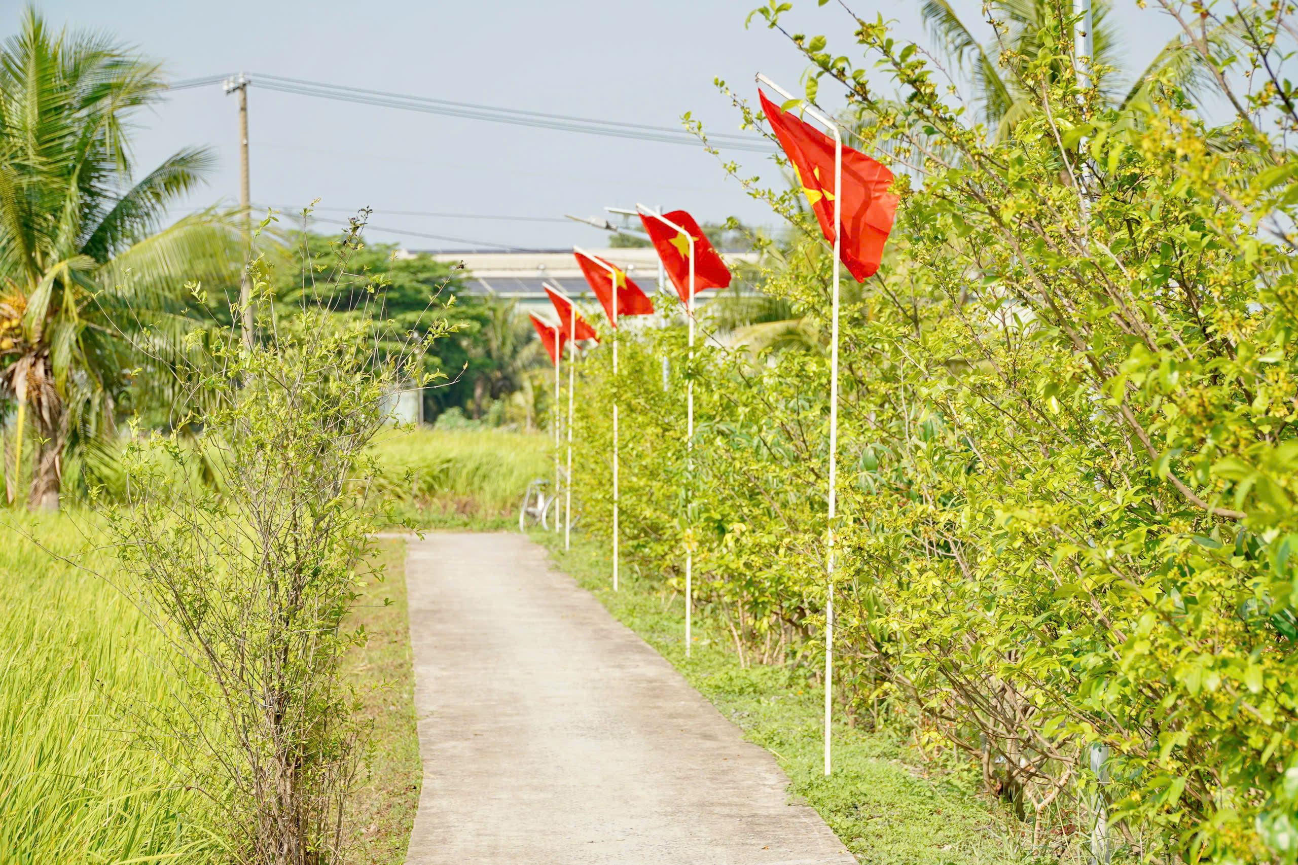 Thắp s&aacute;ng con đường v&agrave;o nh&agrave; Mẹ Việt Nam anh h&ugrave;ng ở x&atilde; T&acirc;n Nhựt - Ảnh 5.