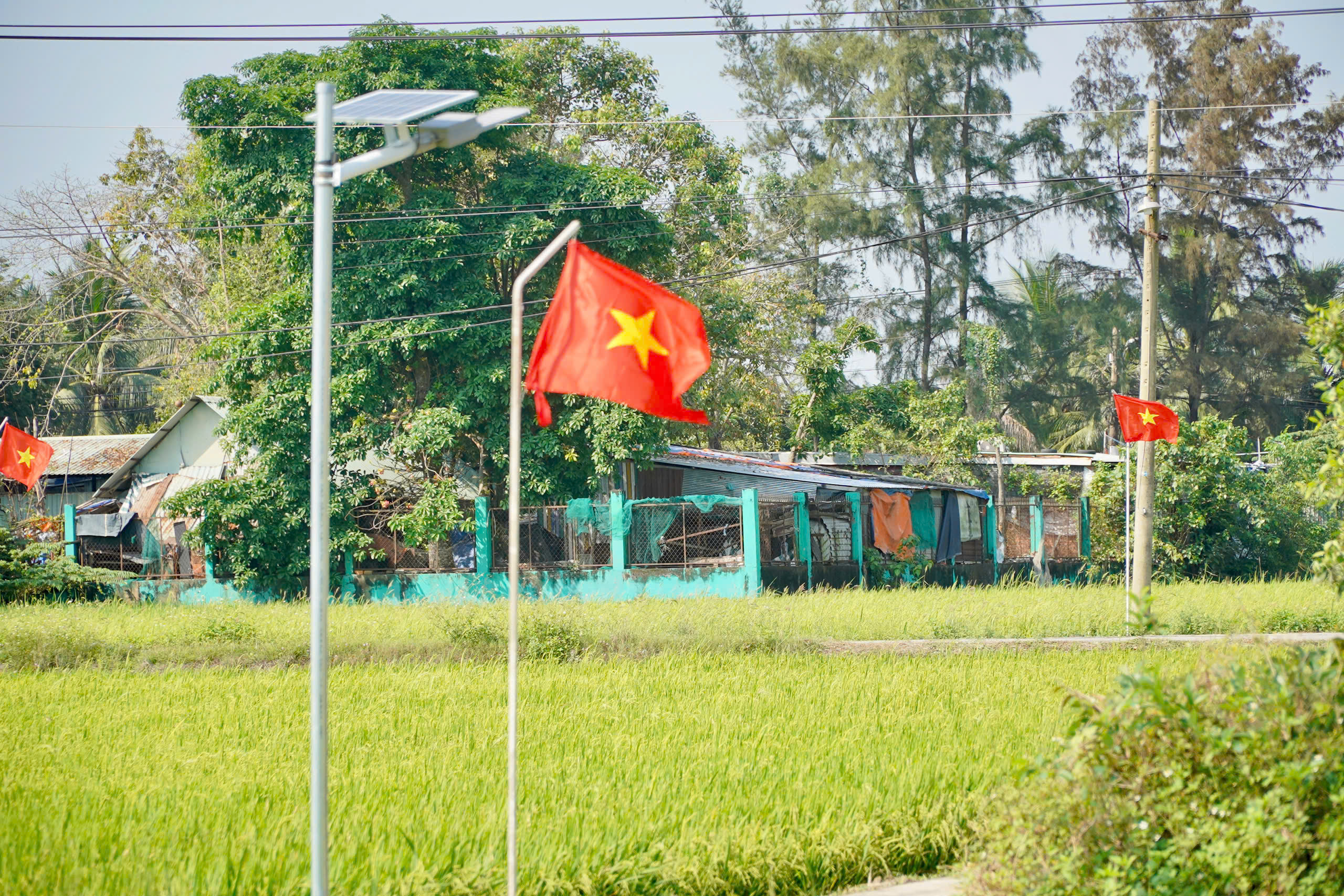 Thắp s&aacute;ng con đường v&agrave;o nh&agrave; Mẹ Việt Nam anh h&ugrave;ng ở x&atilde; T&acirc;n Nhựt - Ảnh 4.