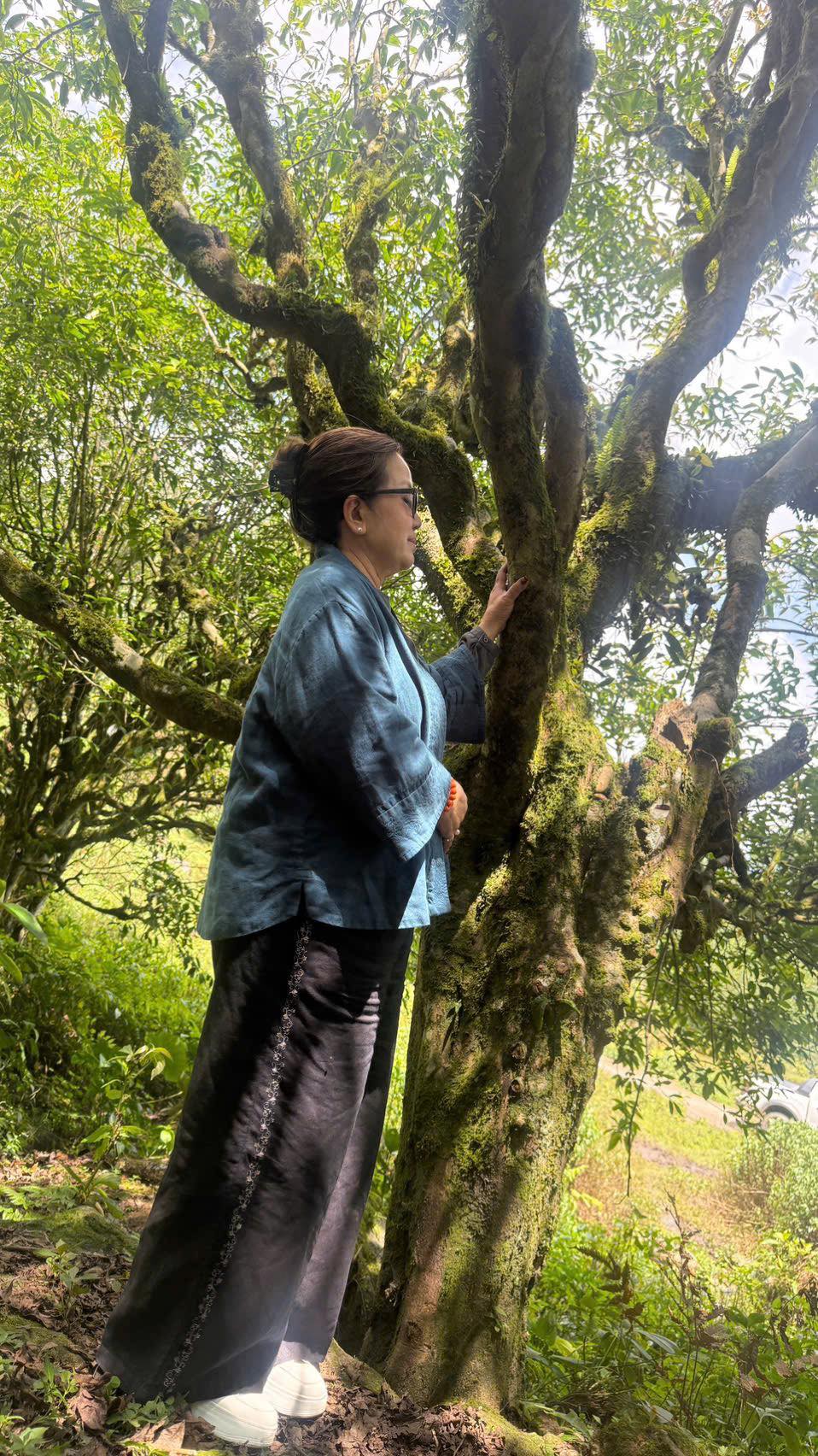 Lắng t&acirc;m c&ugrave;ng tr&agrave; sư - Ảnh 5.