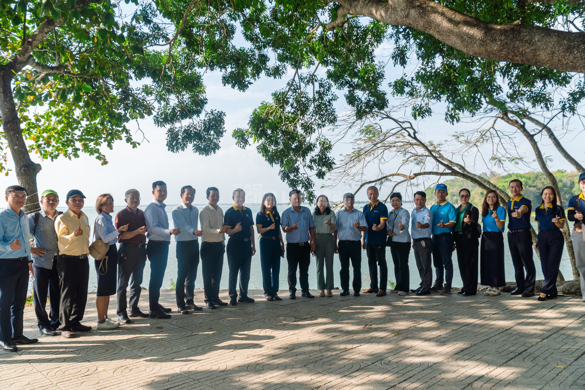 VIDEO: Ngẩn ngơ trước vẻ đẹp thơ mộng của 