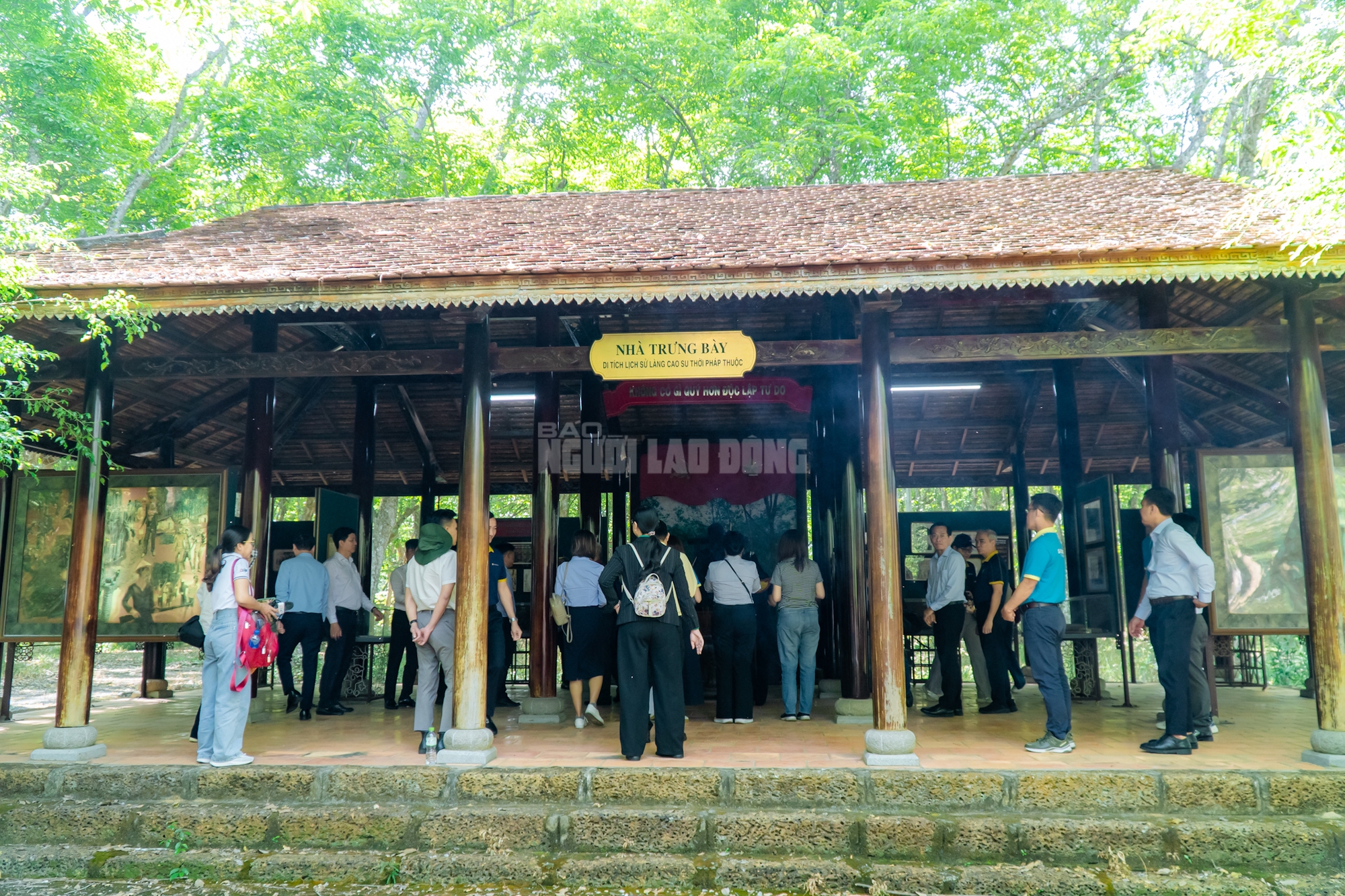 VIDEO: Ngẩn ngơ trước vẻ đẹp thơ mộng của 