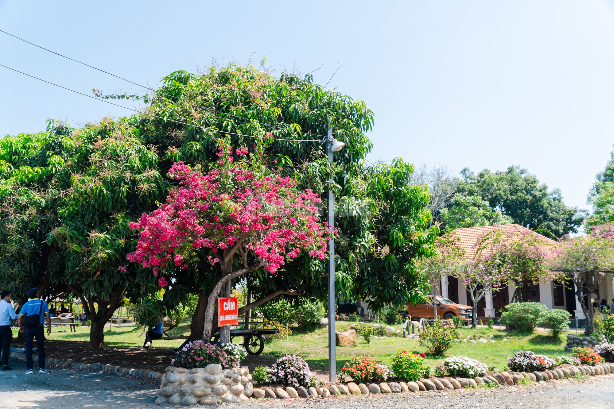 VIDEO: Ngẩn ngơ trước vẻ đẹp thơ mộng của 