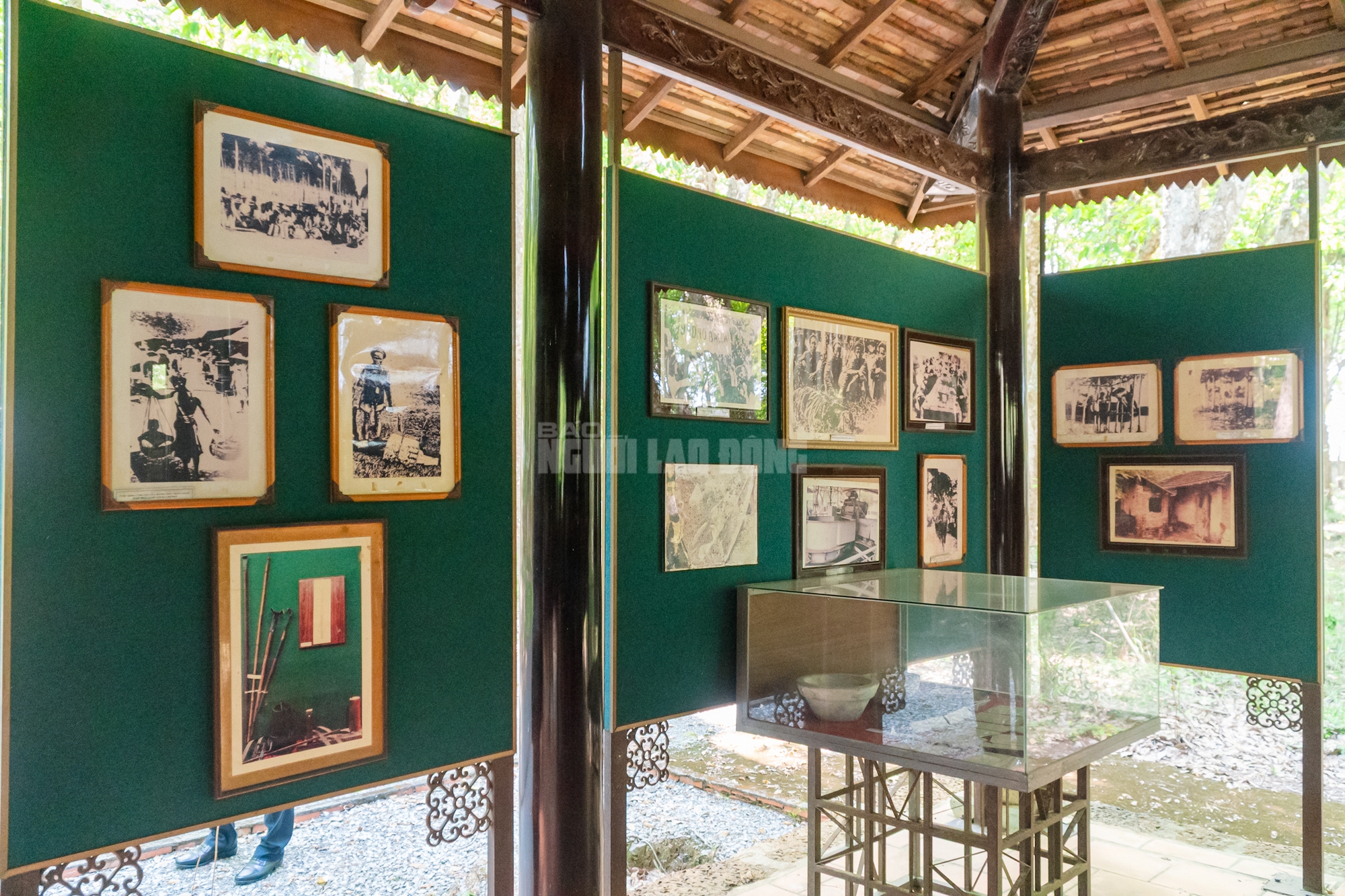 VIDEO: Ngẩn ngơ trước vẻ đẹp thơ mộng của 