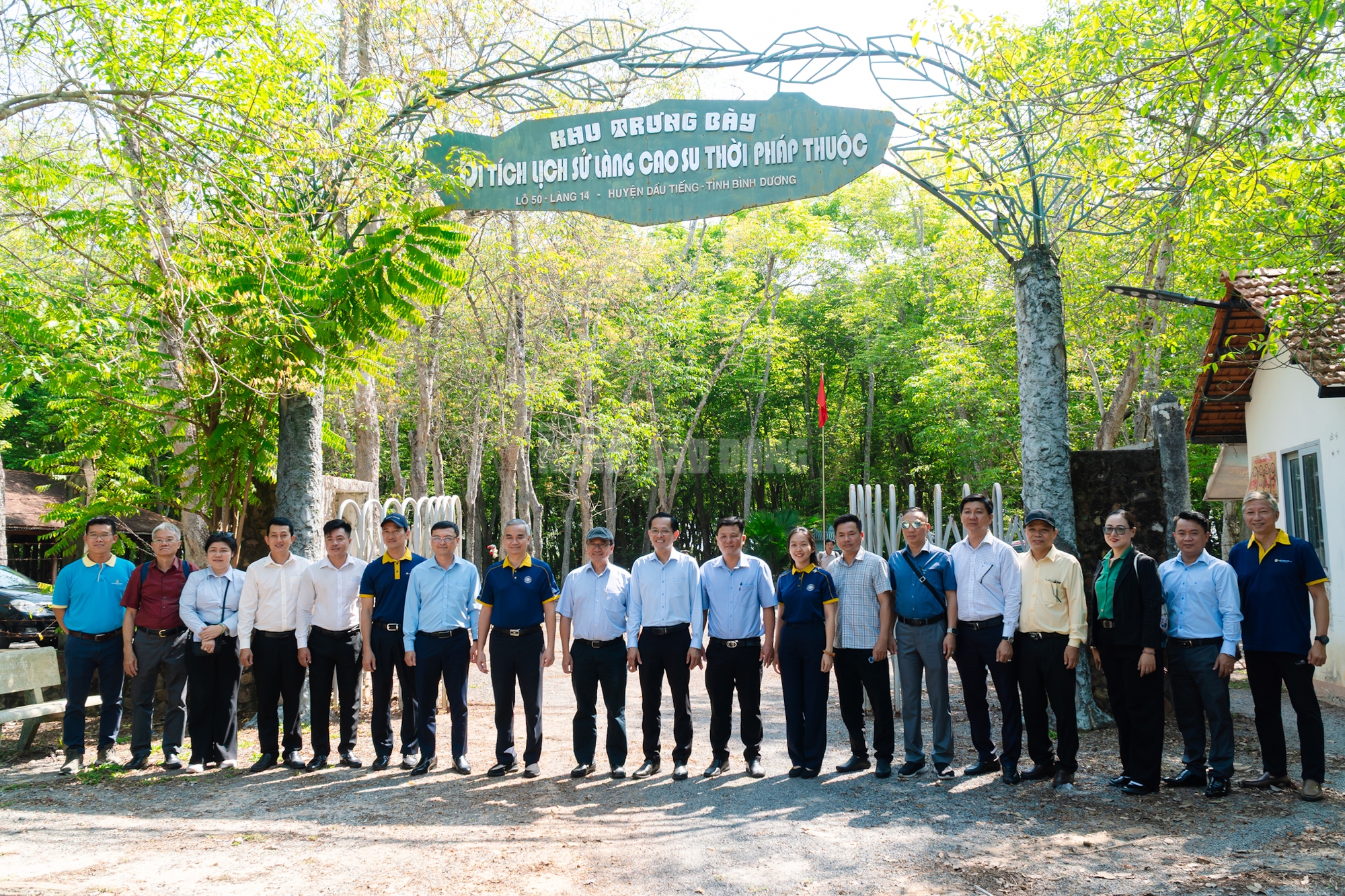 VIDEO: Ngẩn ngơ trước vẻ đẹp thơ mộng của 