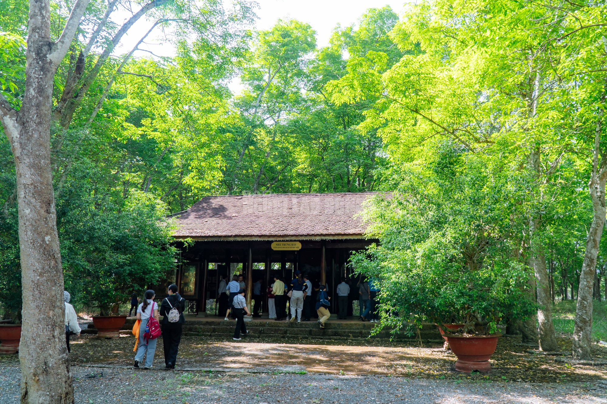 VIDEO: Ngẩn ngơ trước vẻ đẹp thơ mộng của 