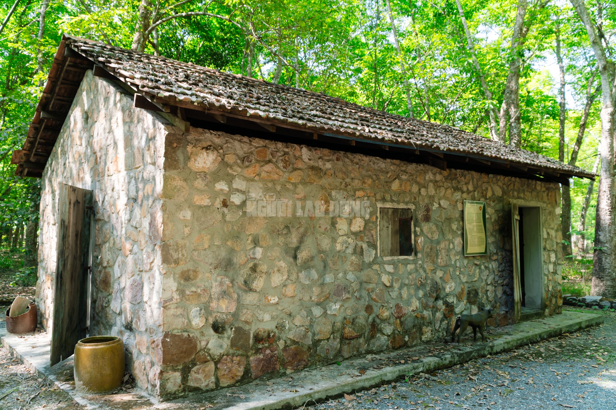 VIDEO: Ngẩn ngơ trước vẻ đẹp thơ mộng của 