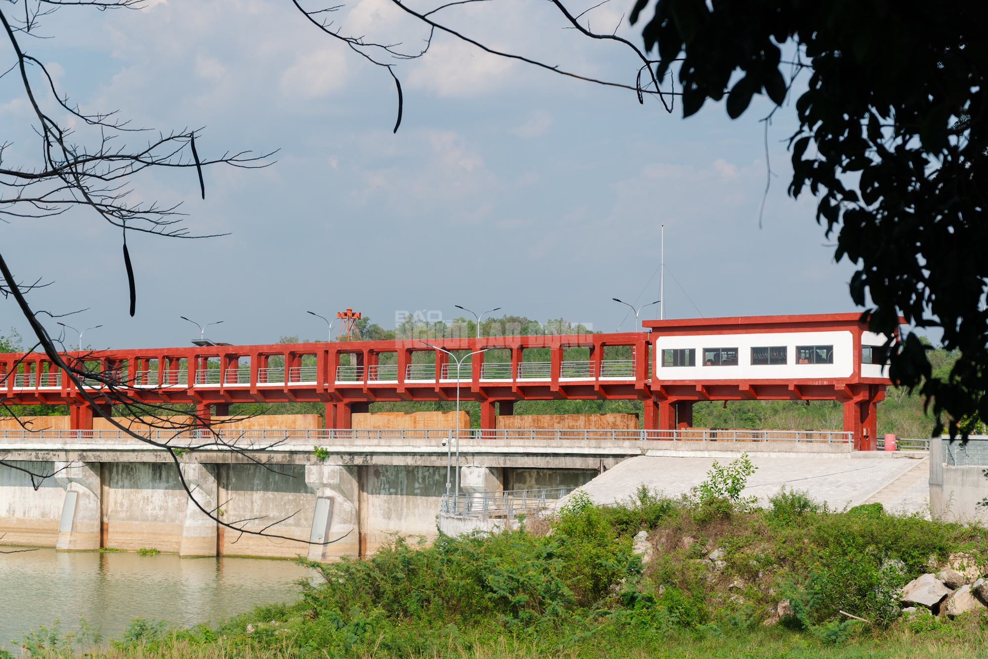 VIDEO: Ngẩn ngơ trước vẻ đẹp thơ mộng của 