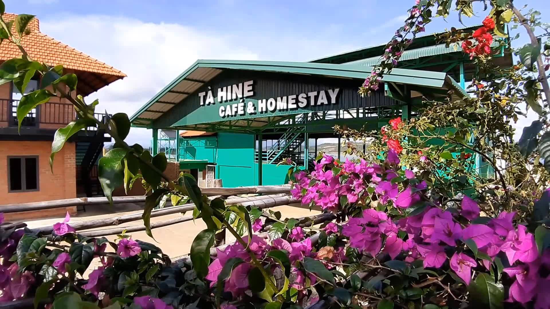 T&agrave; Hine Caf&eacute; - Điểm b&igrave;nh y&ecirc;n tr&ecirc;n đường thi&ecirc;n l&yacute; - Ảnh 6.