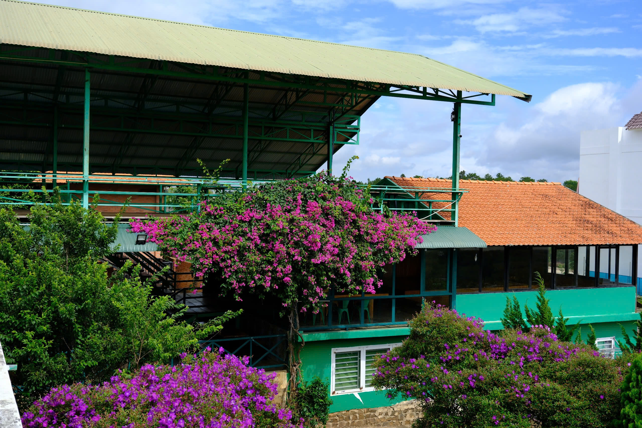 T&agrave; Hine Caf&eacute; - Điểm b&igrave;nh y&ecirc;n tr&ecirc;n đường thi&ecirc;n l&yacute; - Ảnh 5.